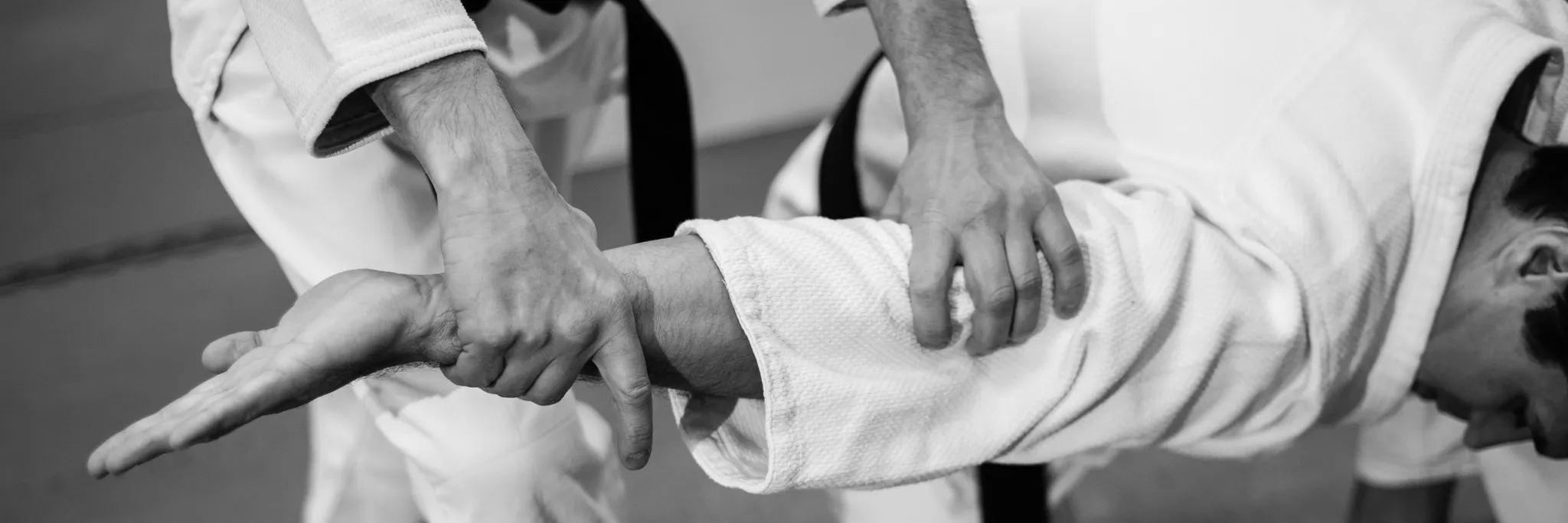 Tuesday Adults Aikido Classes Tuesday Adults Aikido Classes