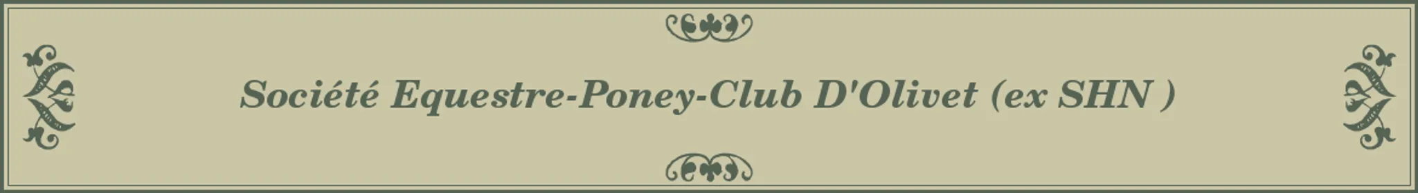 Concours de Saut d'Obstacles amateur