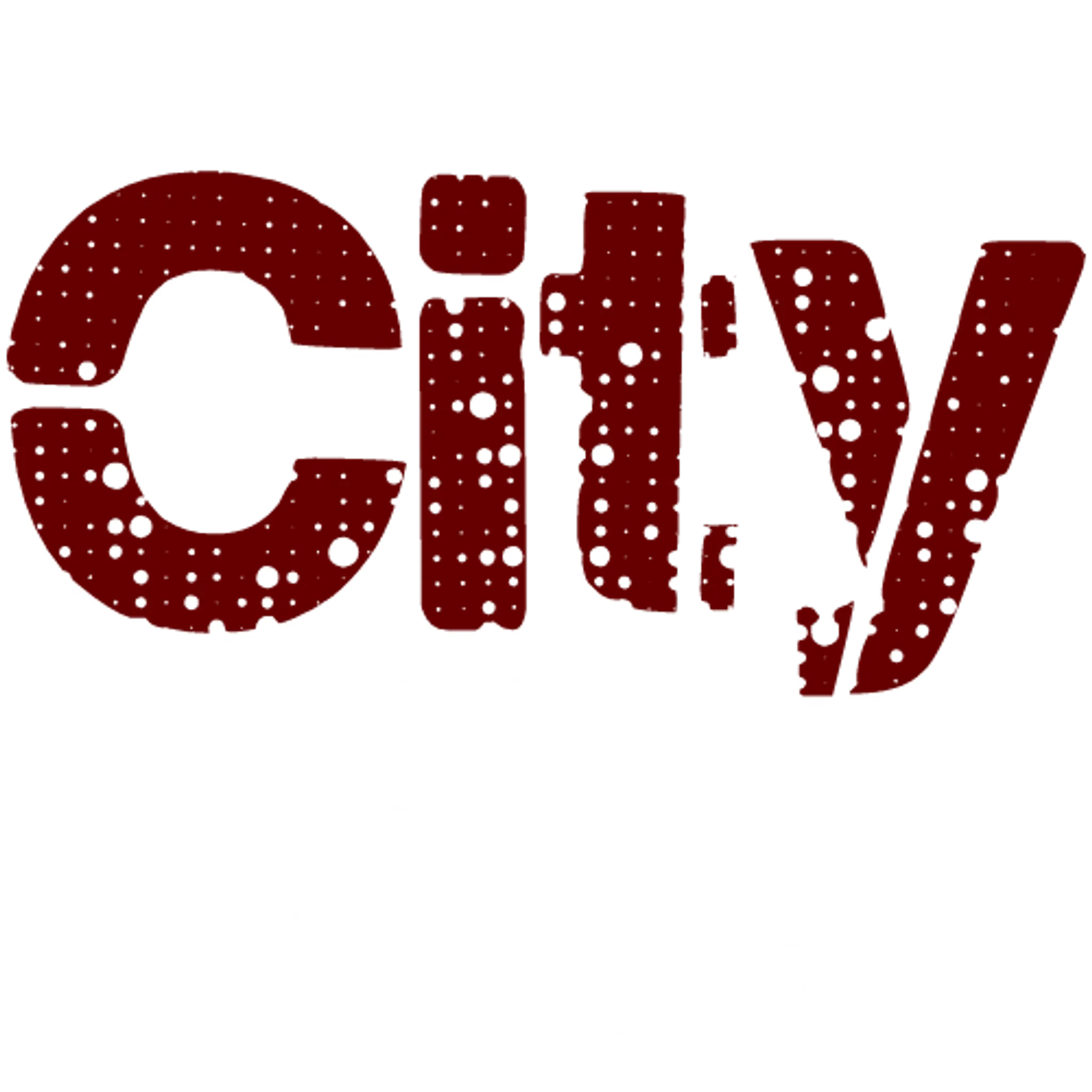 City Fit Shop Inc.