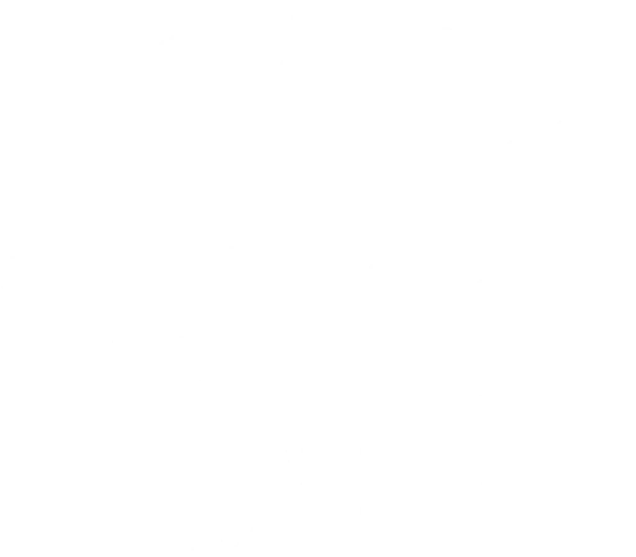 The Body Engineer Personal Trainer