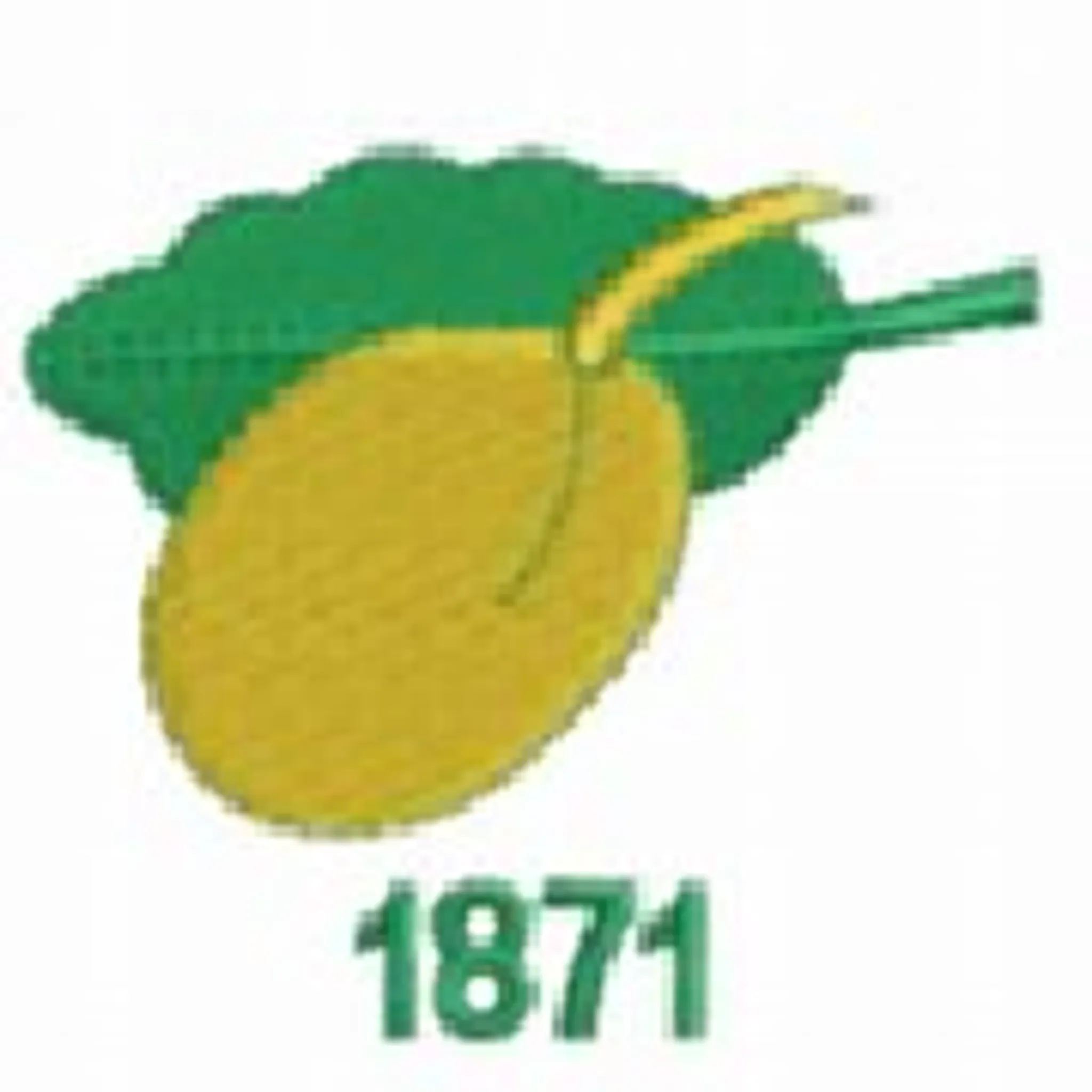 Pedmore Cricket Club