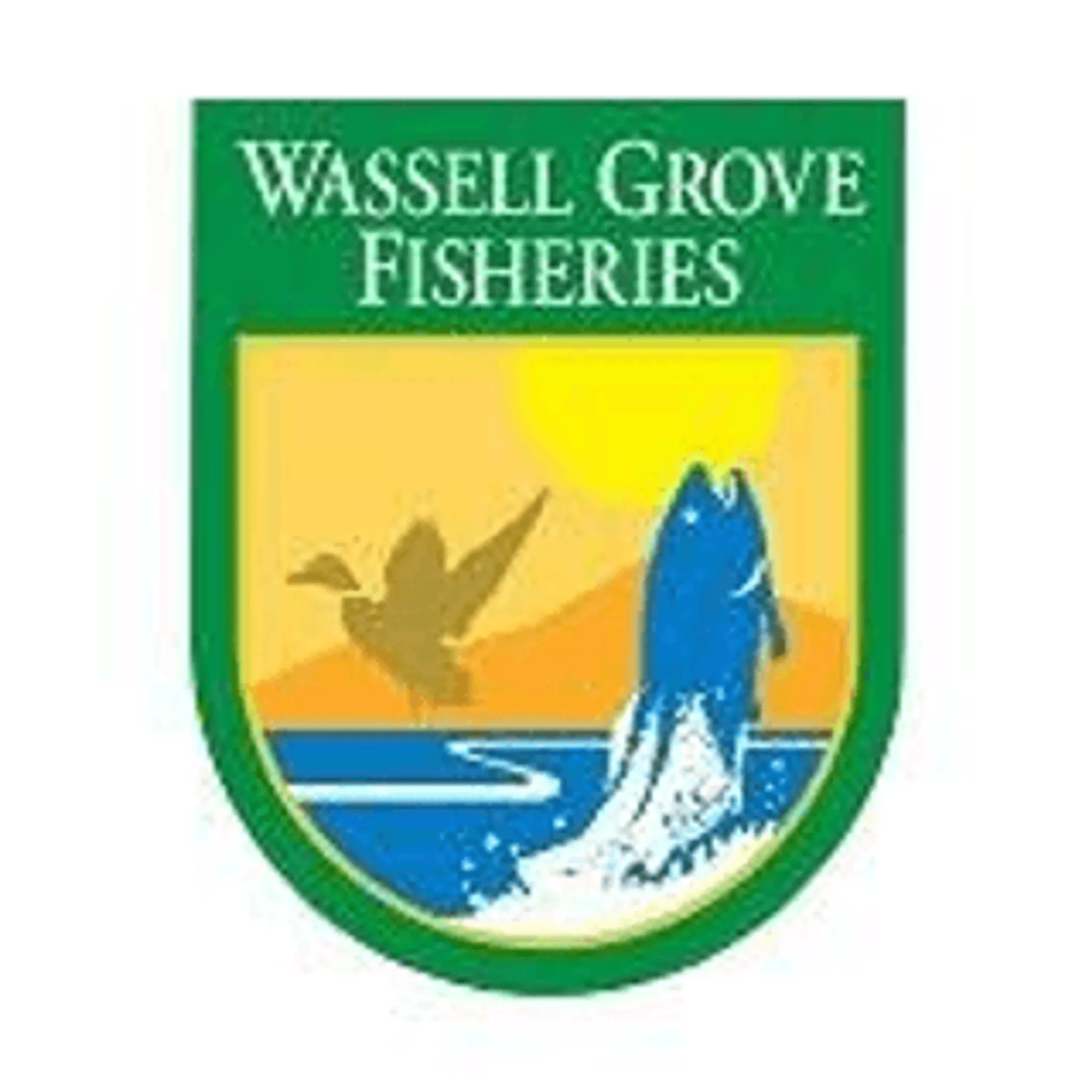 Wassell Grove Fisheries and Campsite