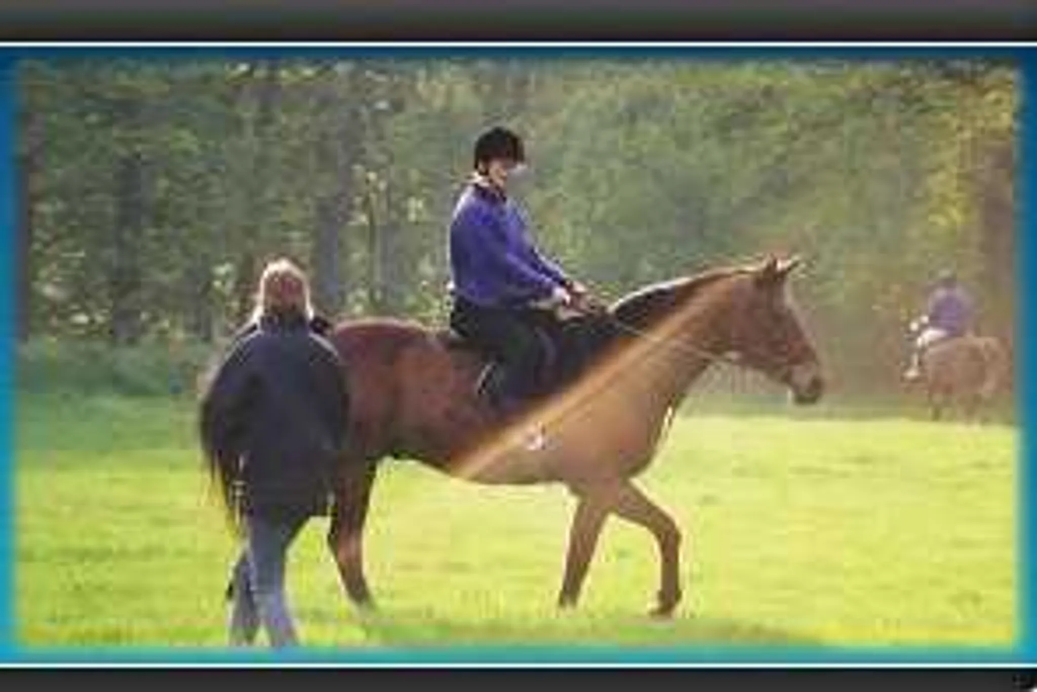 Summer Showjumping League Event