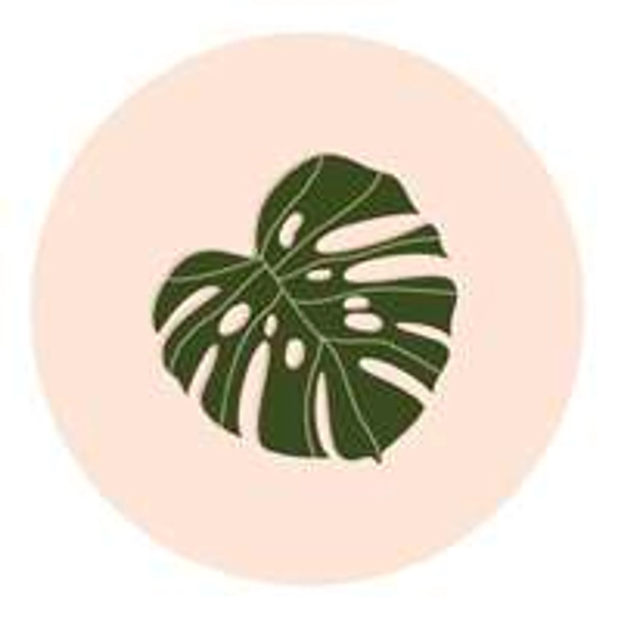 Anna Cash PT & Nutrition