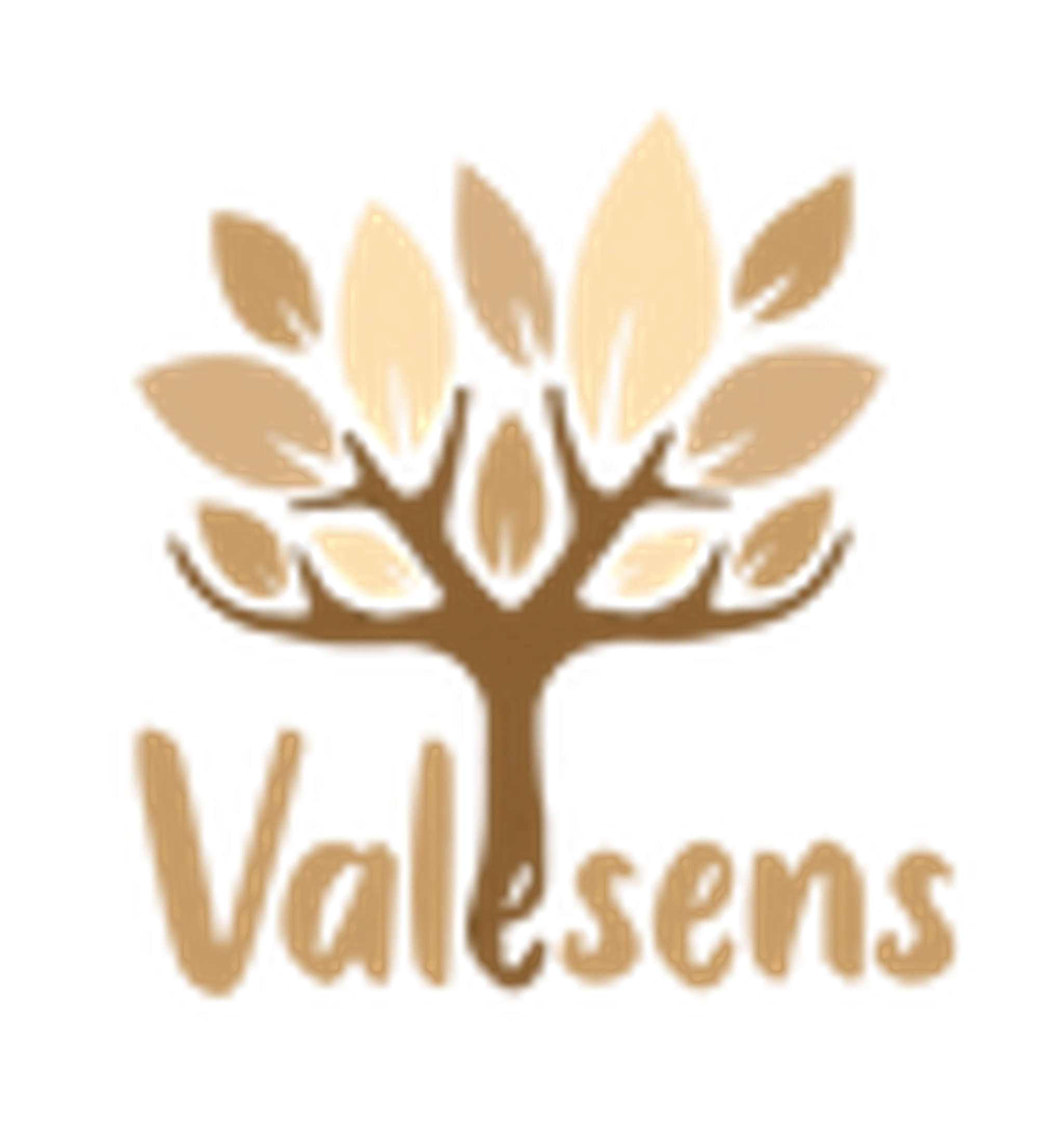 Valesens - Coach Professionnel Landes & Pays Basque