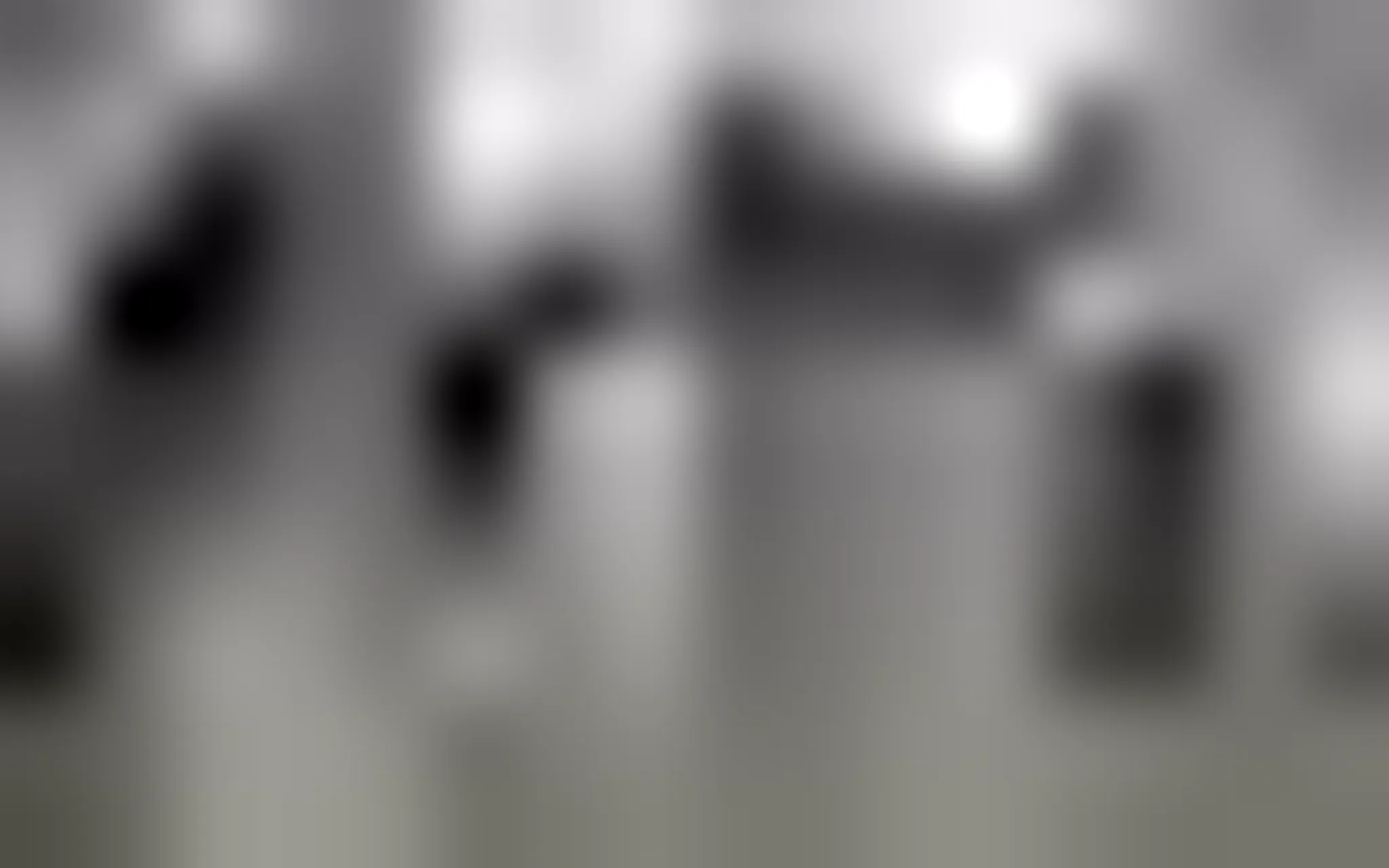 St Mary's College Tours