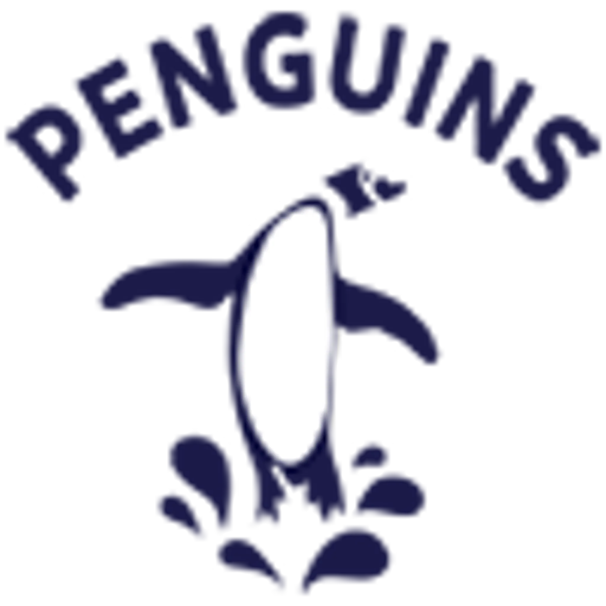 Penguins Swim Lessons