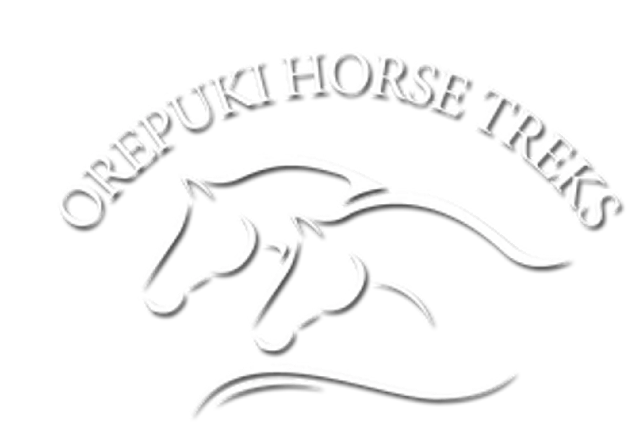 Orepuki Horse Treks