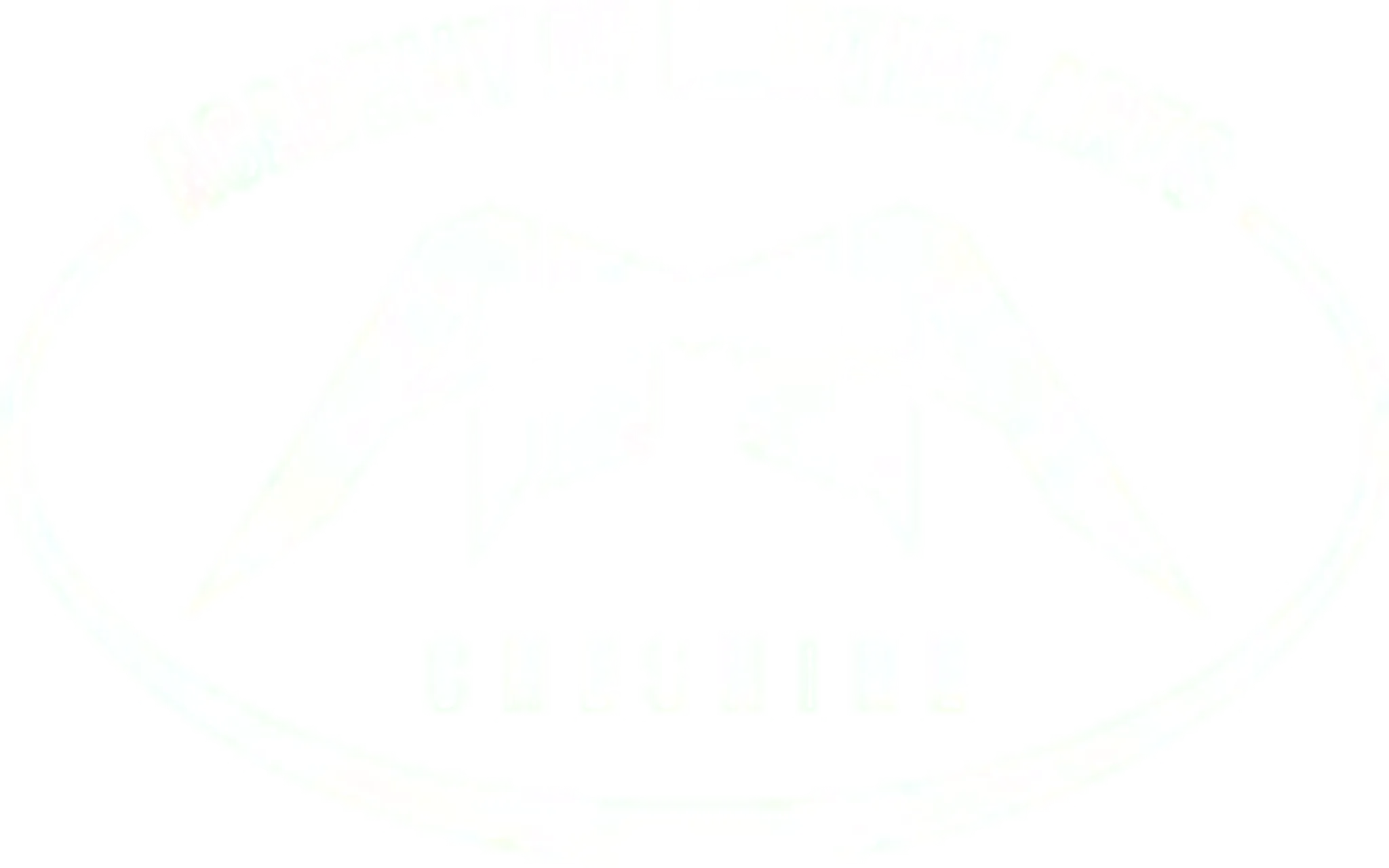 Academy of Martial Arts Cheshire