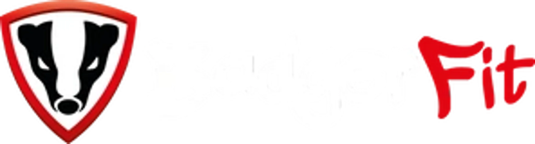 BadgerFit Personal Training & Group Fitness