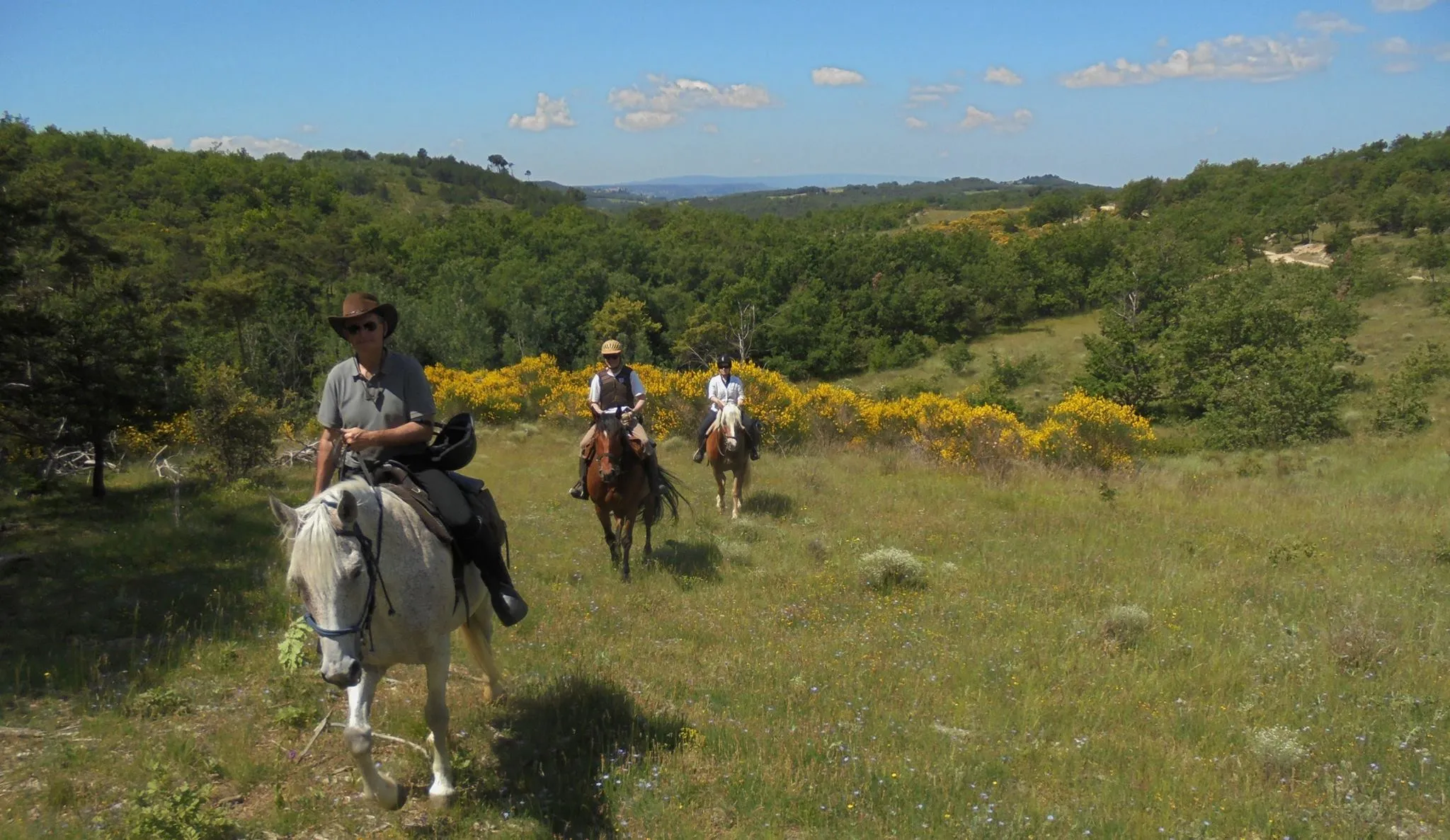 Randonnée à cheval en AUSTRALIE : RANDONNEE EN ETOILE SUR LES PLAGES ET PLATEAUX D'AUSTRALIE