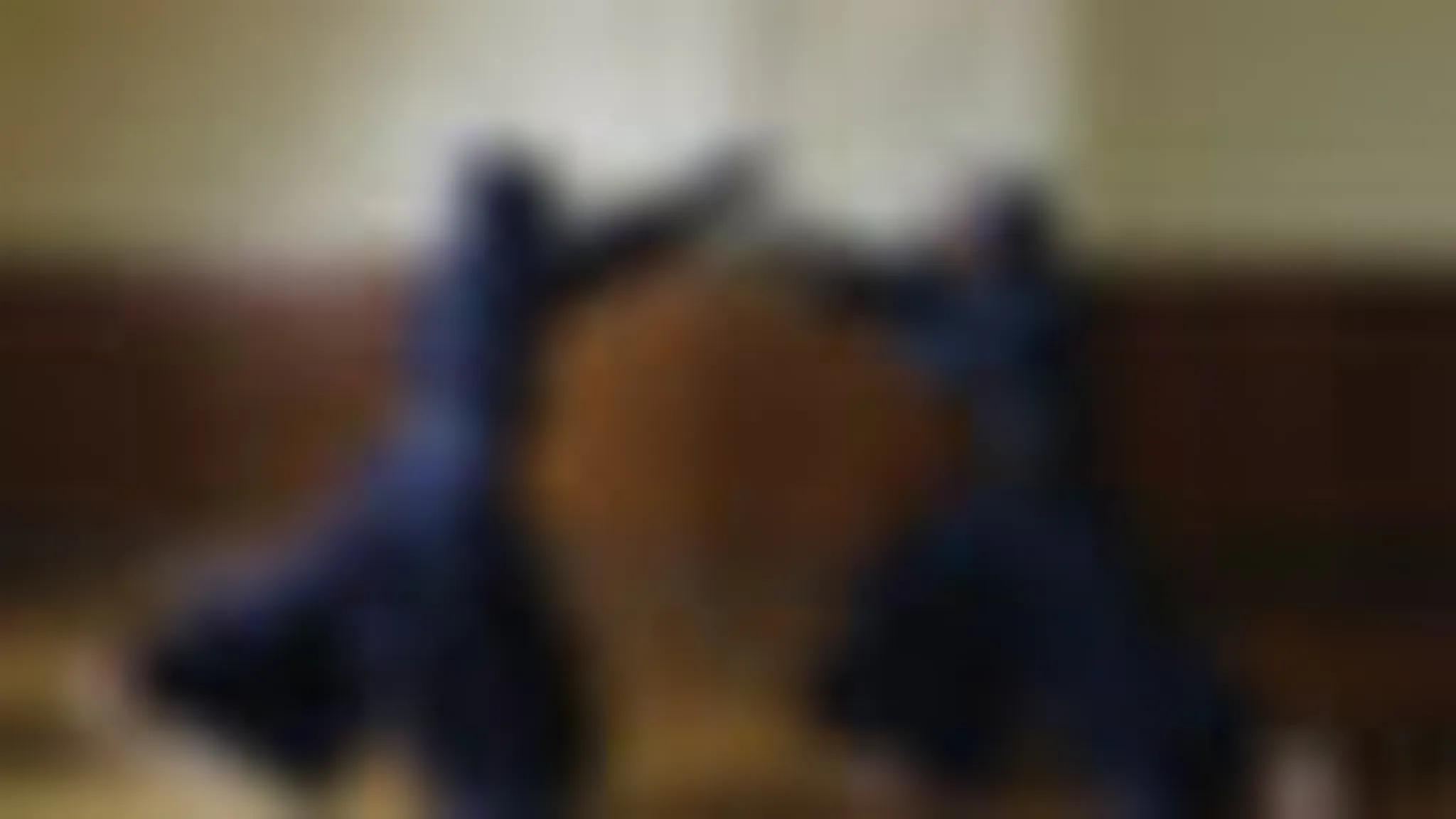 Meirinkan Bedford Kendo Club