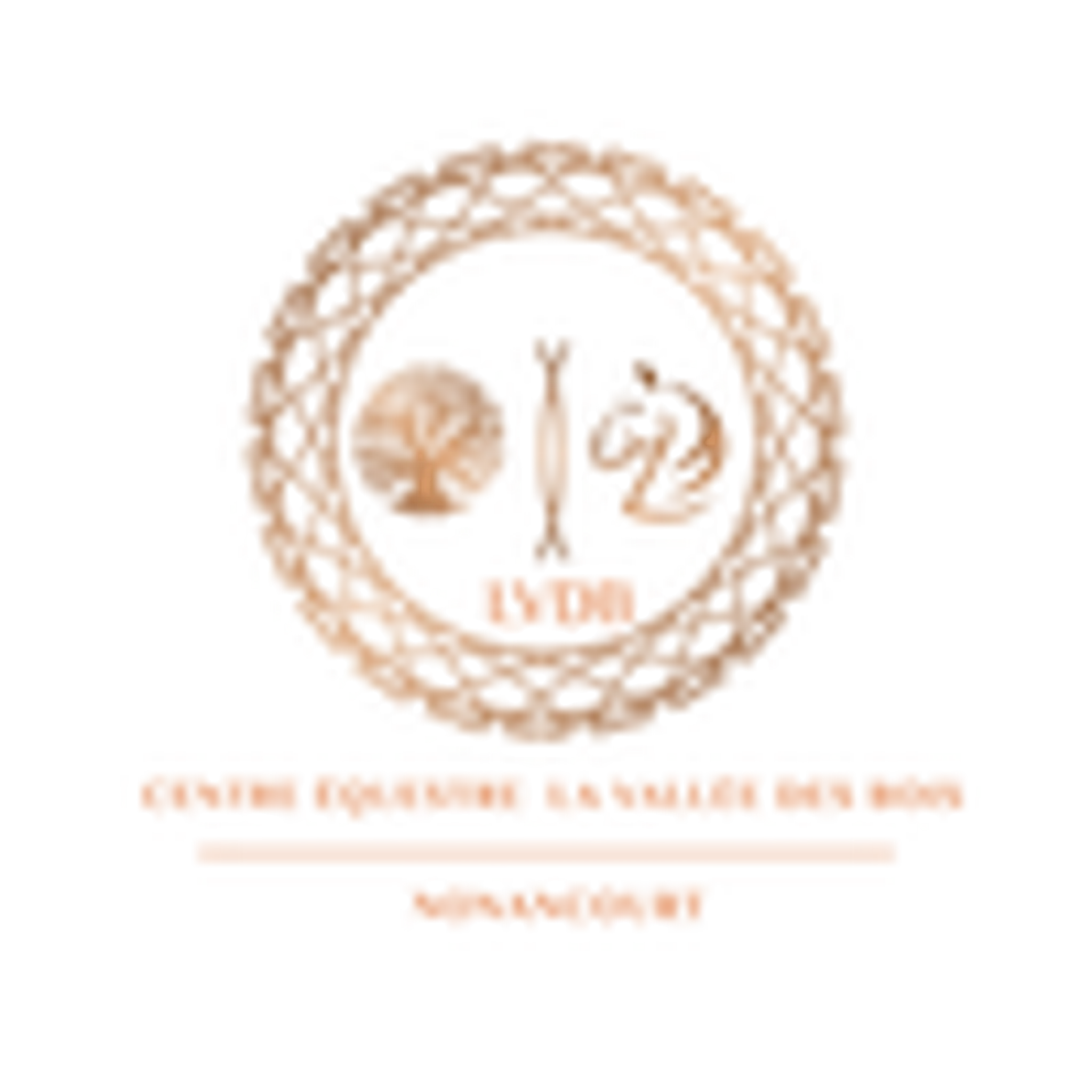 The Equestrian Center Vallée Des Bois