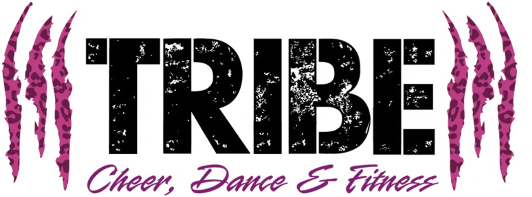Tribe: Cheer, Dance & Fitness