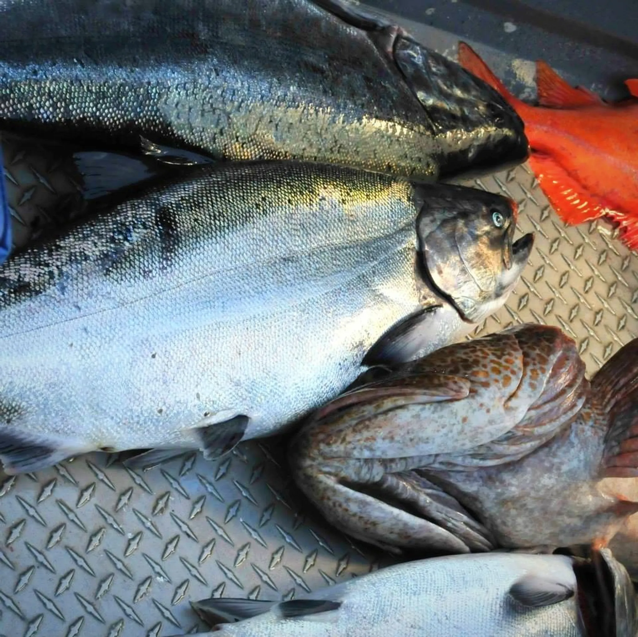 Pete's Salmon Charters