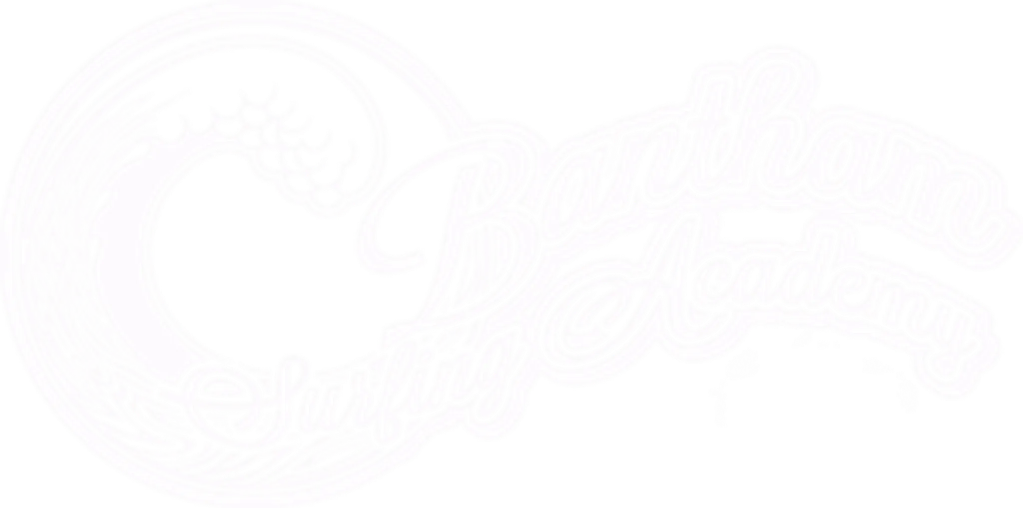 Bantham Surfing Academy