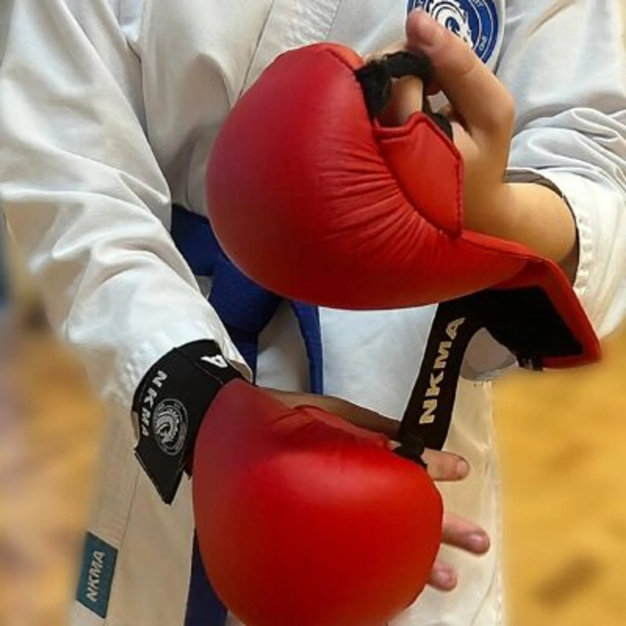 North Kent Martial Arts