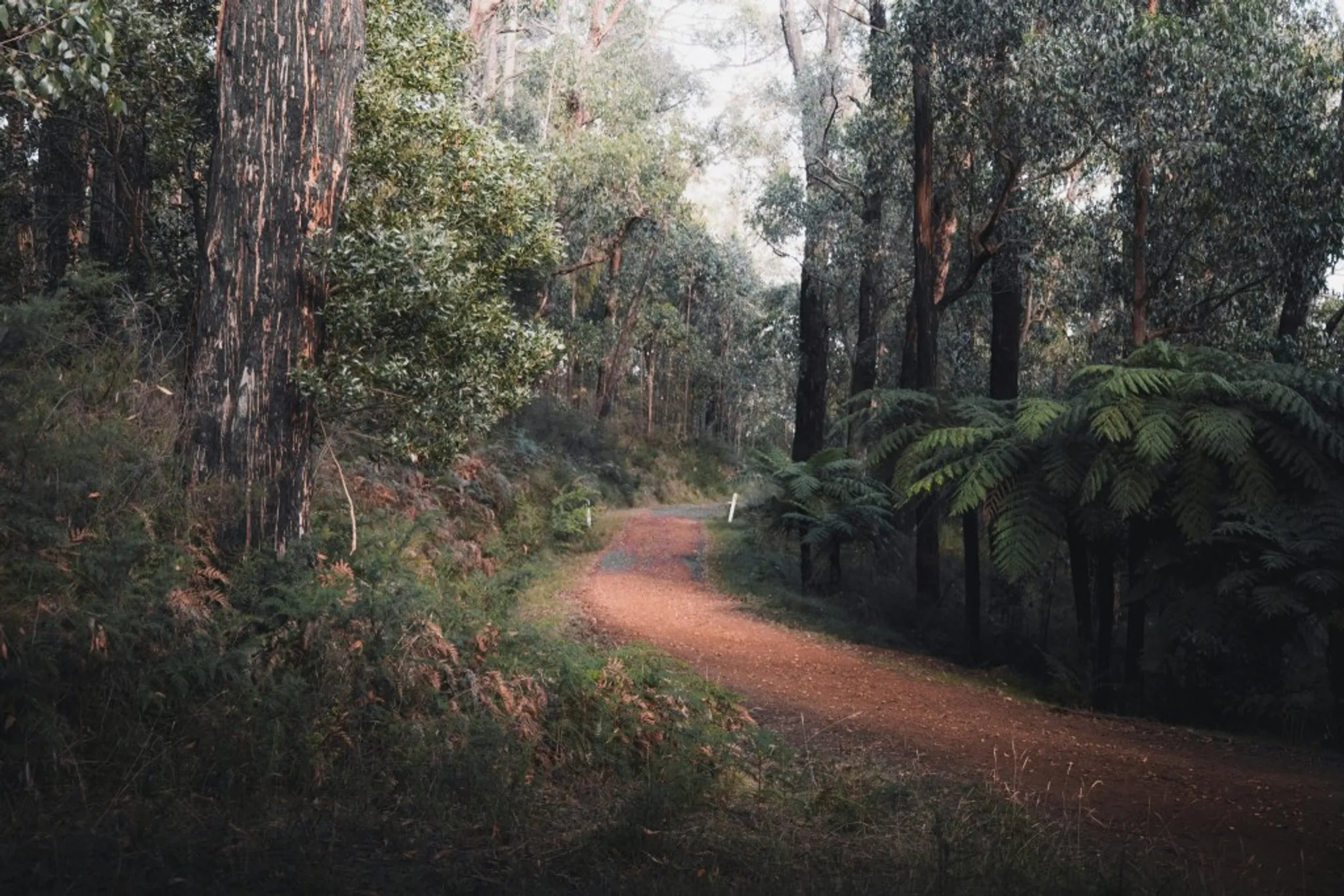 Shortest day sunset walk