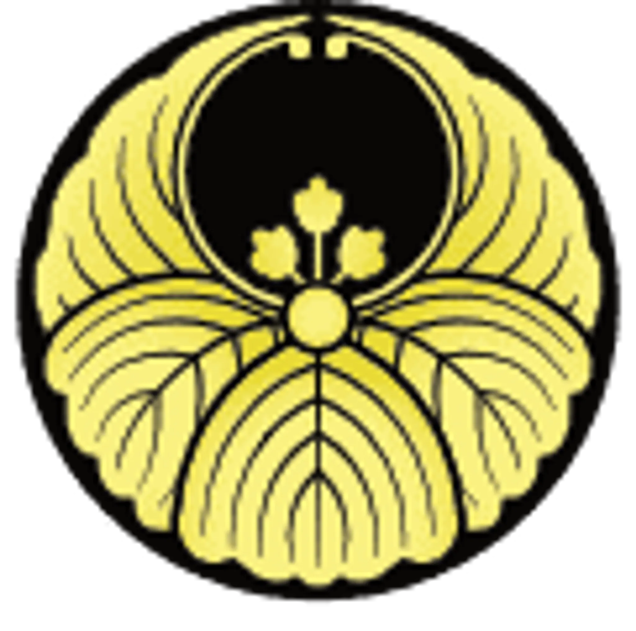 Hontai Yoshin Ryu Ilfracombe