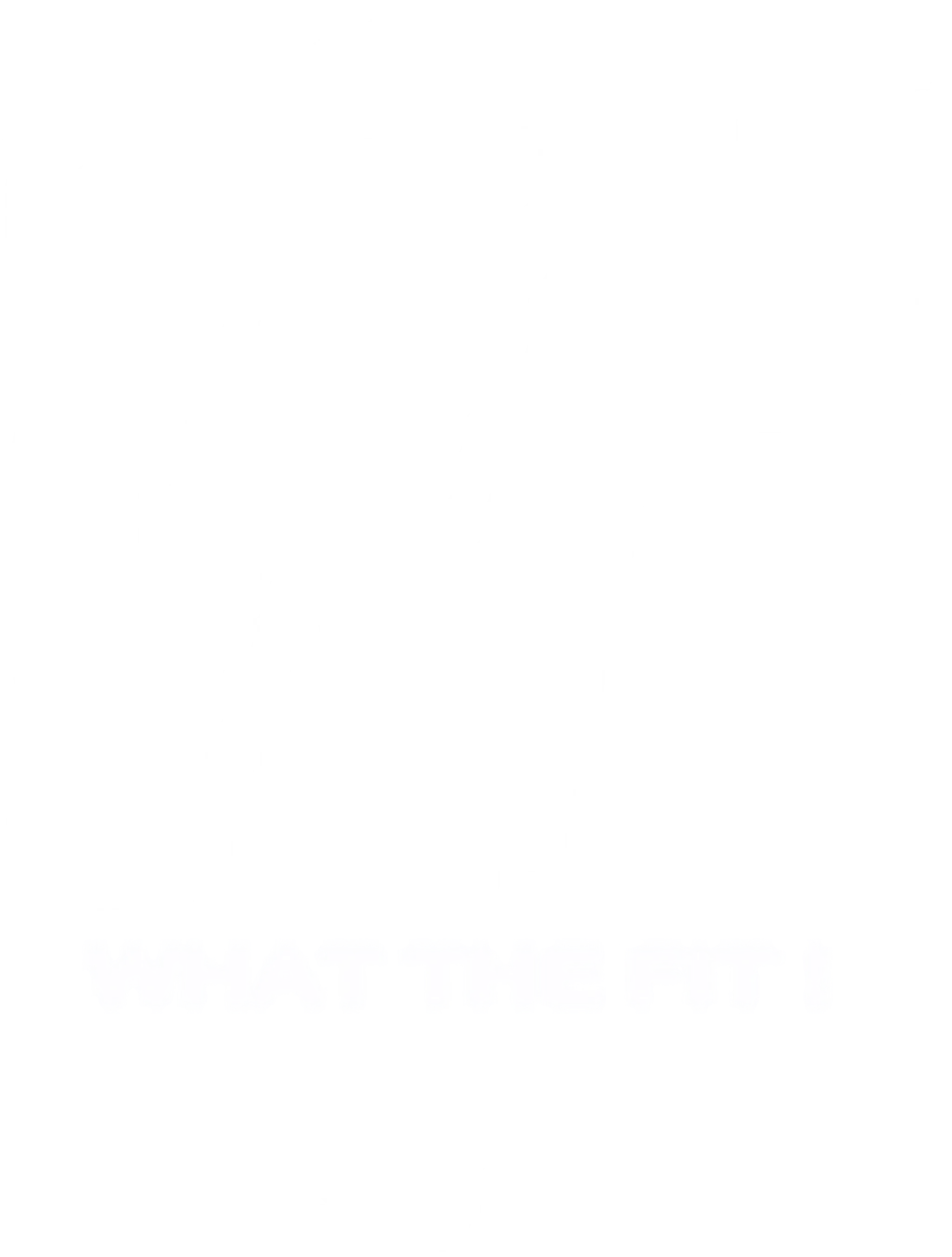 What The Fit !
