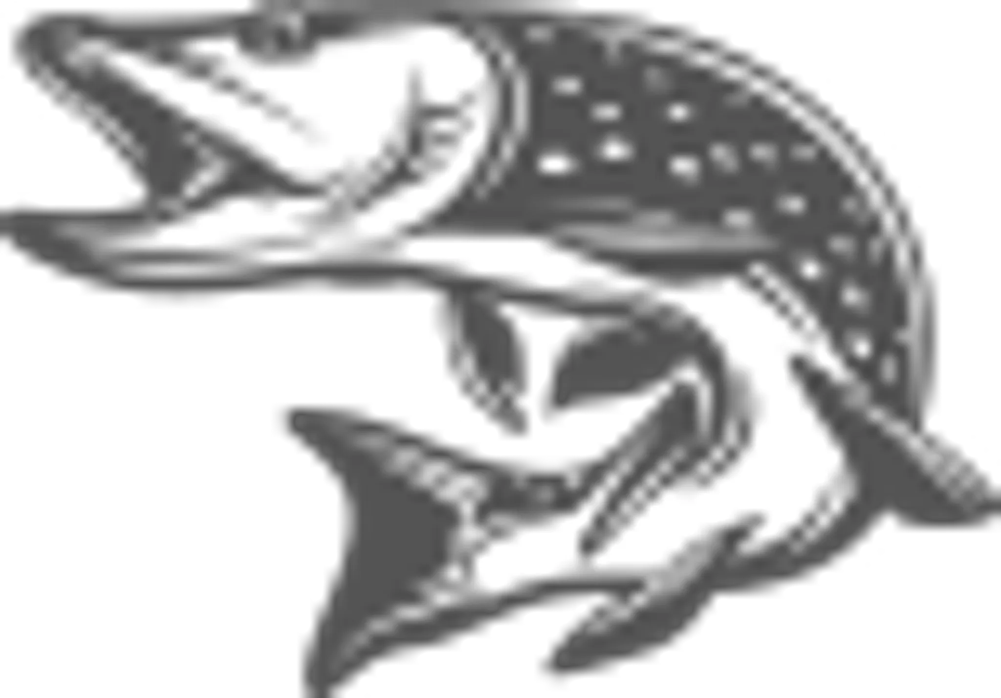 FISHING CHARTER ADVENTURES in VICTORIA