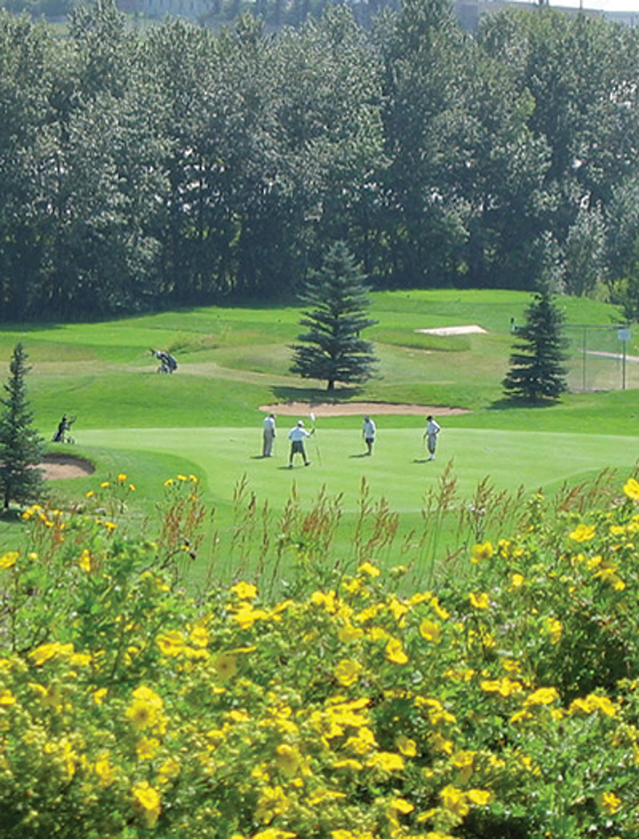 Maple Ridge Men's Golf Club