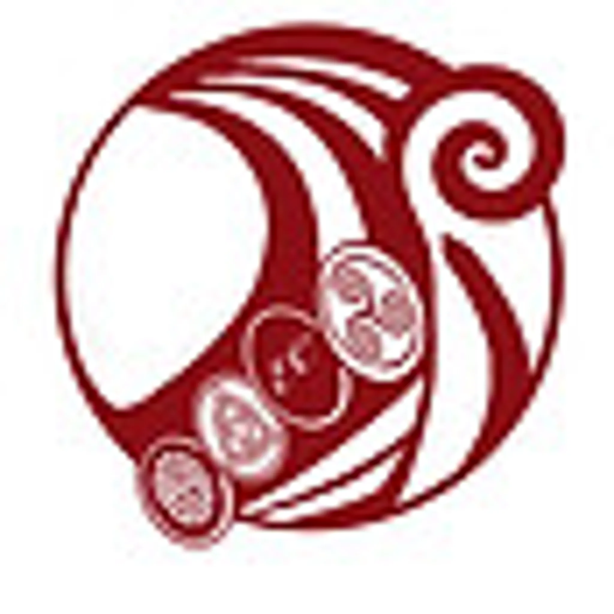 Norse Fitness & Rehab