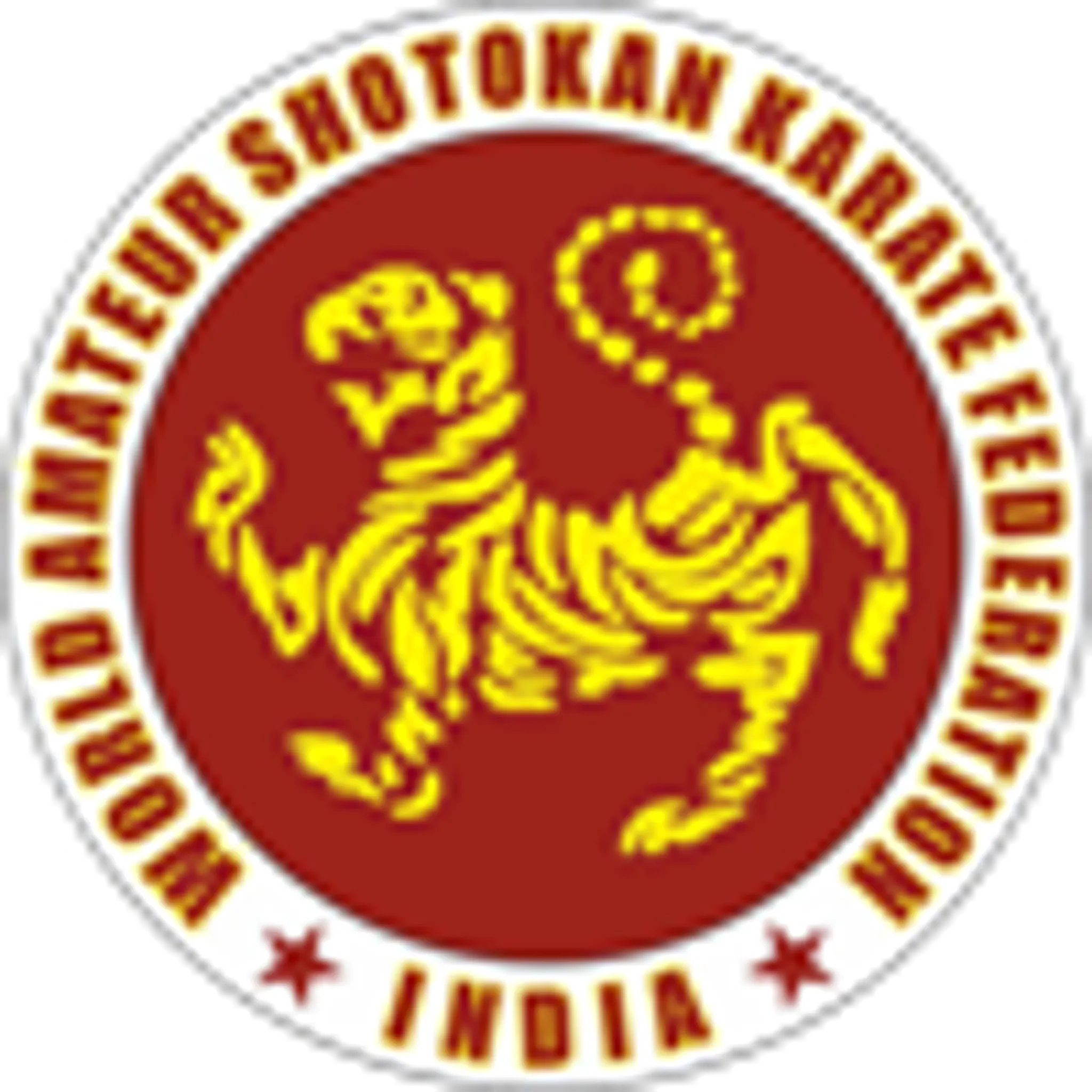 Guju ryu Martial Art