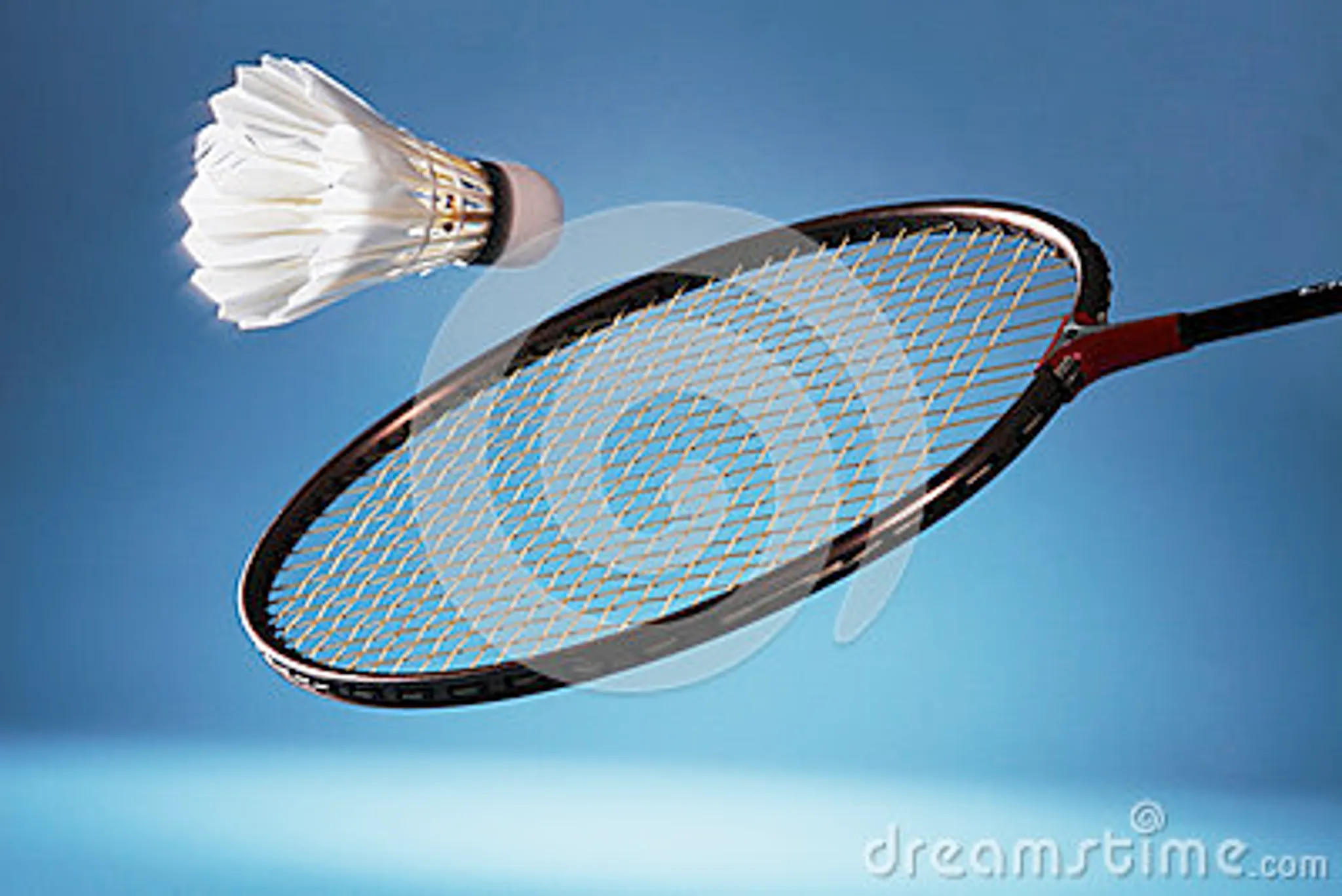 Tournoi National de Simples et Doubles de Badminton