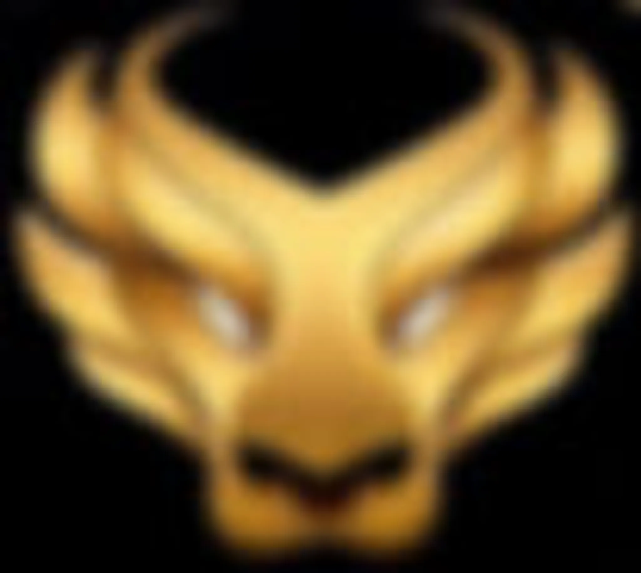 Lionsden Boxing Academy Delahey