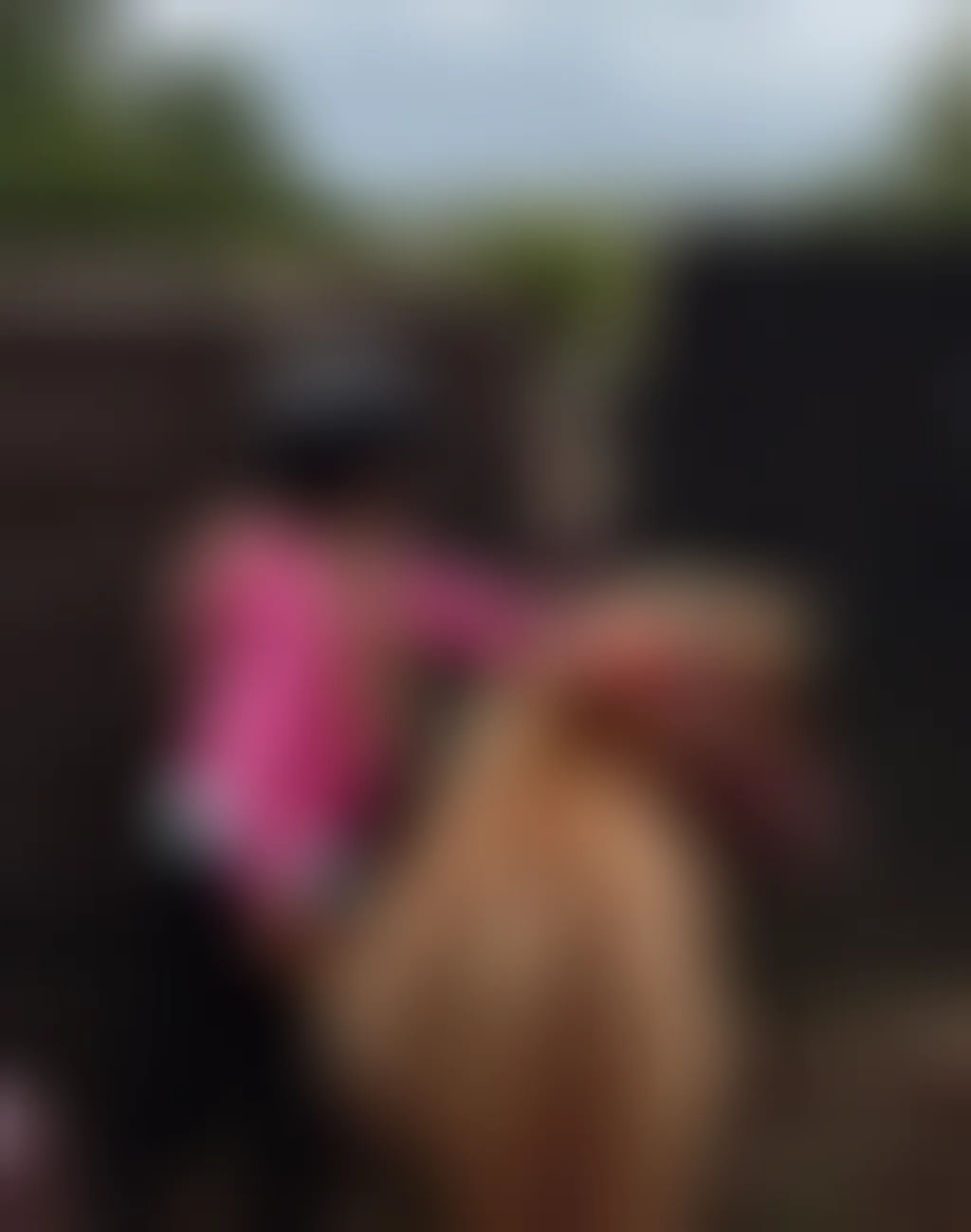 Preseli Pony Trekking at Ashvale Holiday & Riding Stables