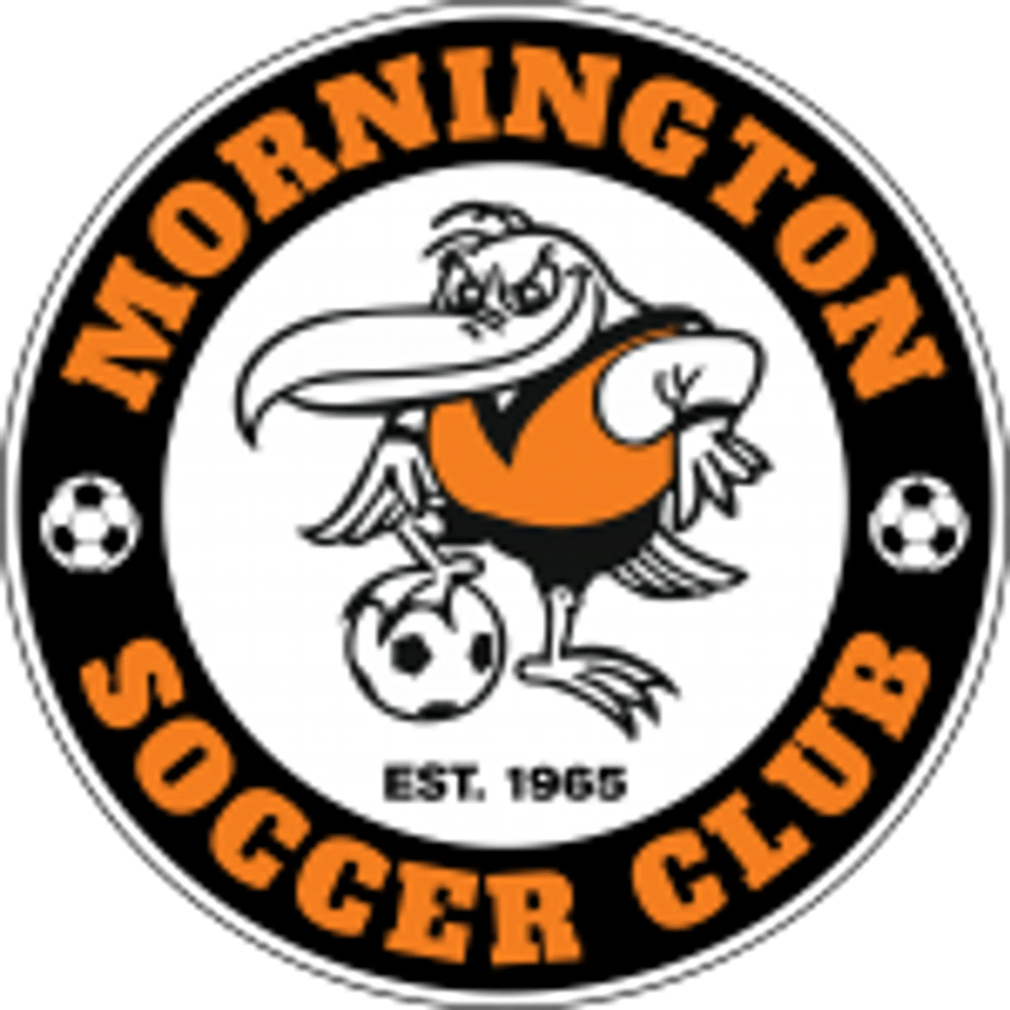 Mornington Soccer Club