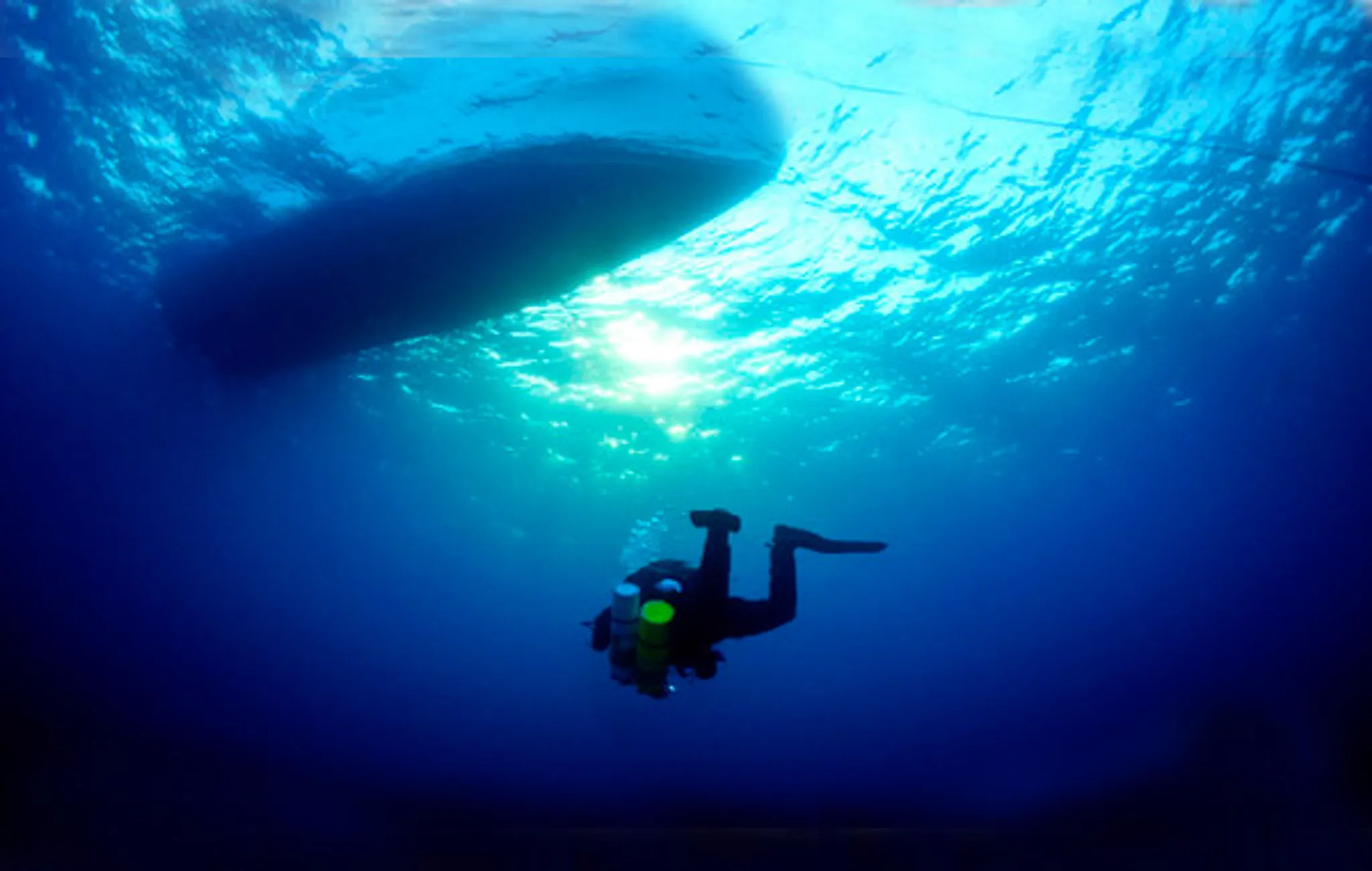 Maldives Liveaboard Diving Adventure