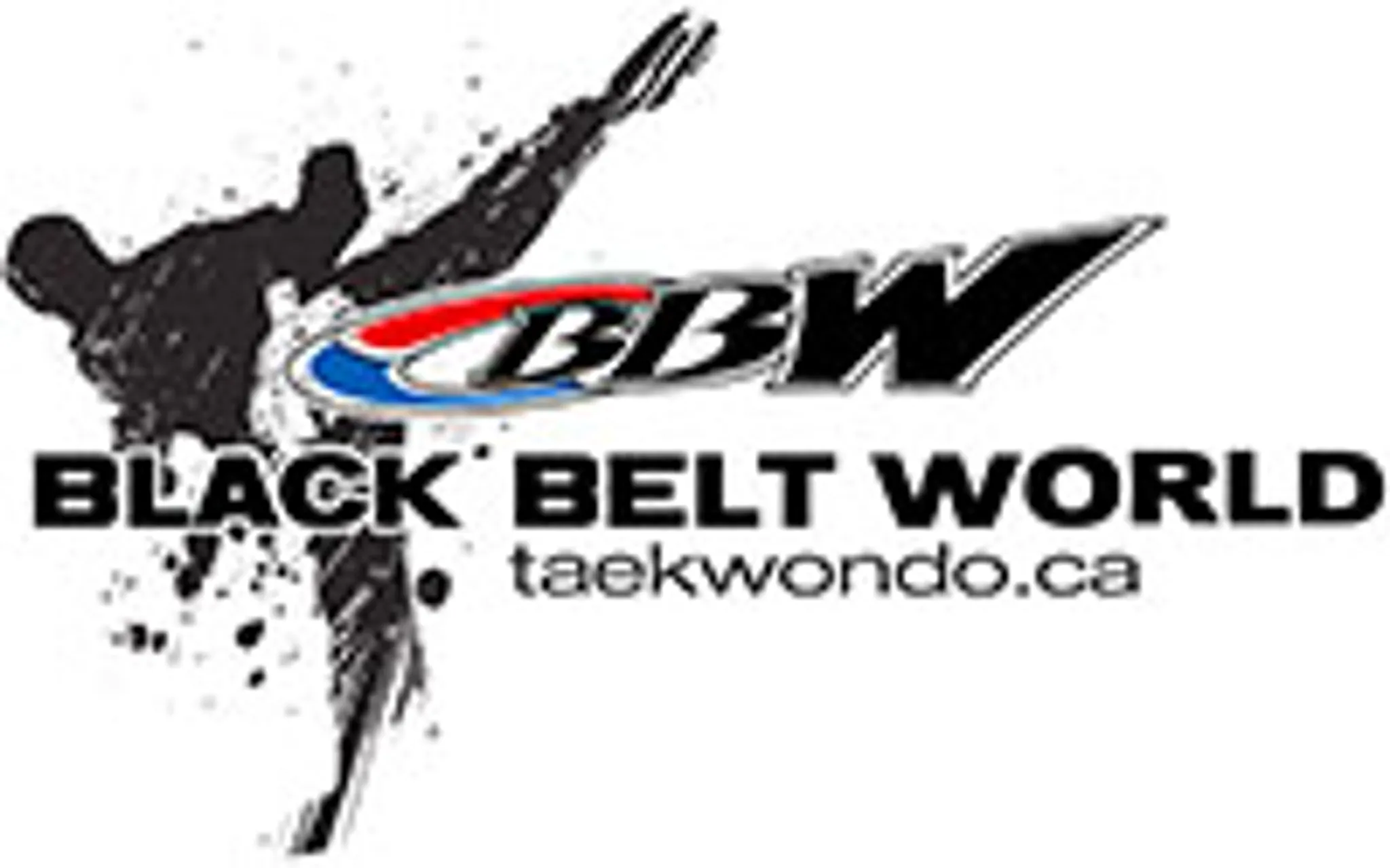 Black Belt World Mississauga