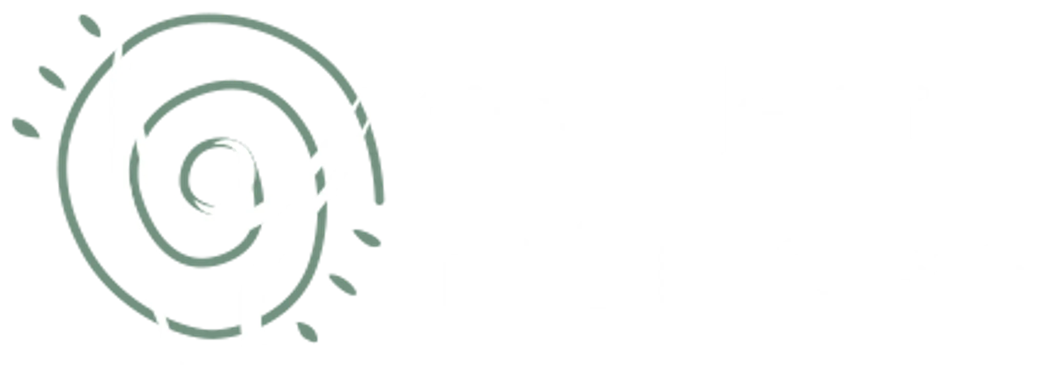 Accidental Fitness