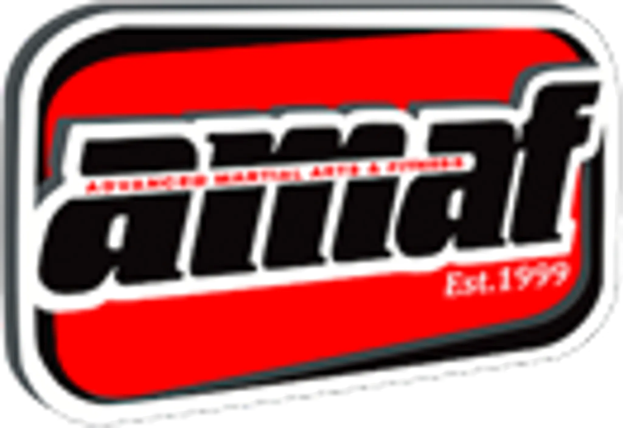 Advanced Martial Arts & Fitness (AMAF) - Advanced Class