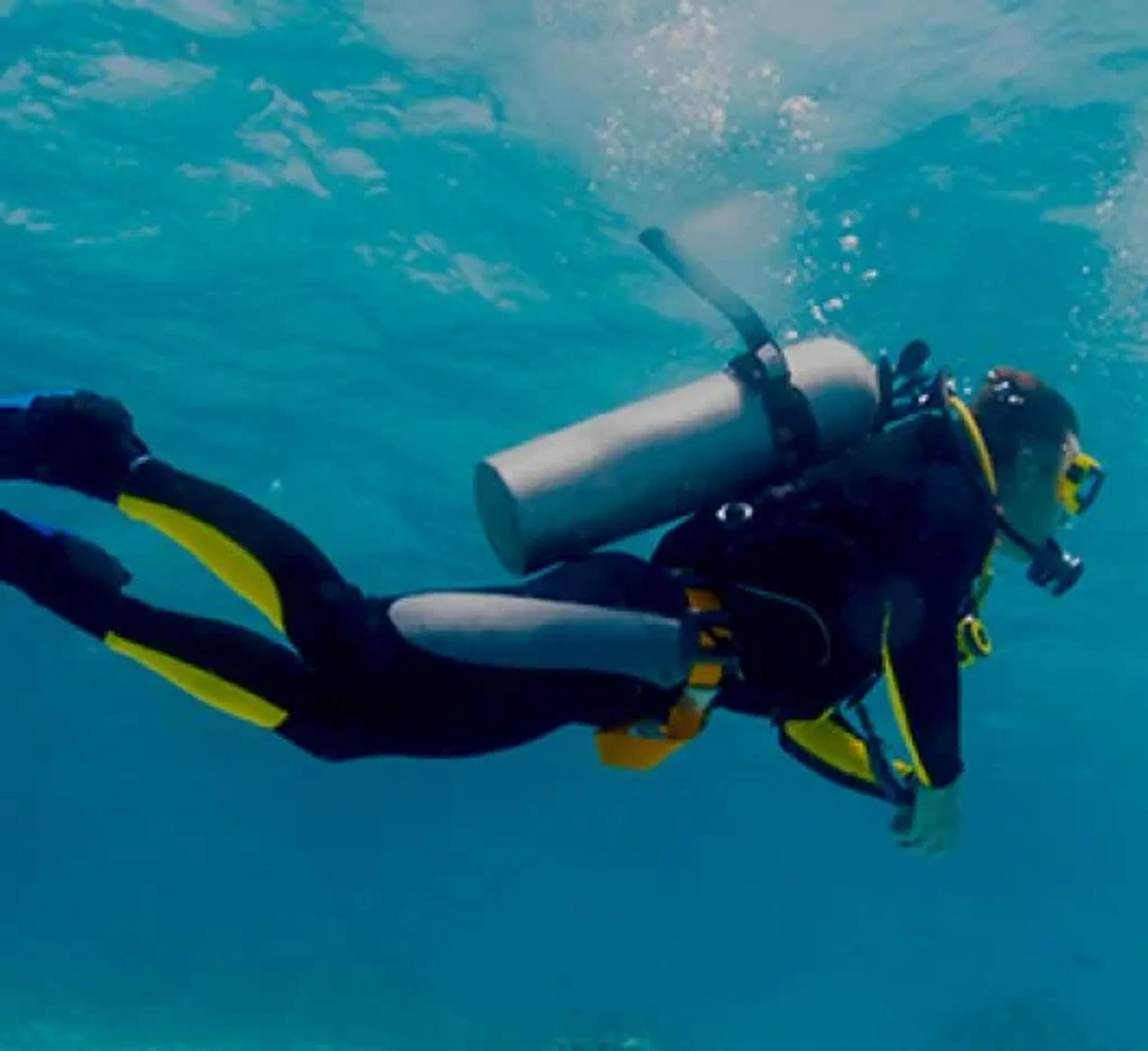 Scuba Evolution India Pvt Ltd