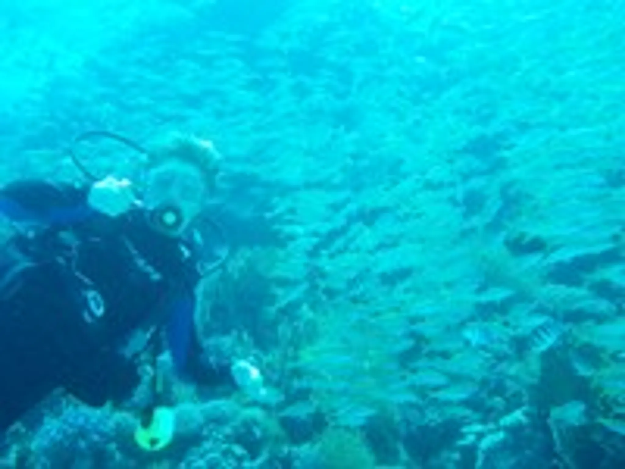 Tiverton Sub Aqua Club