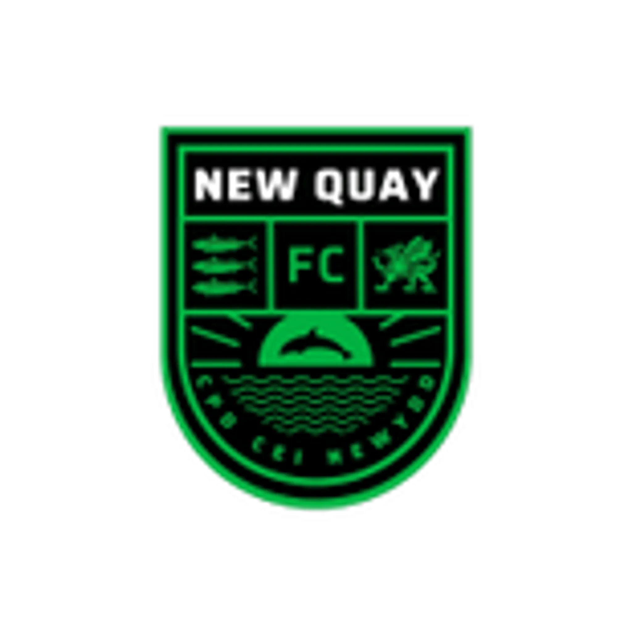 New Quay F C Sports Club