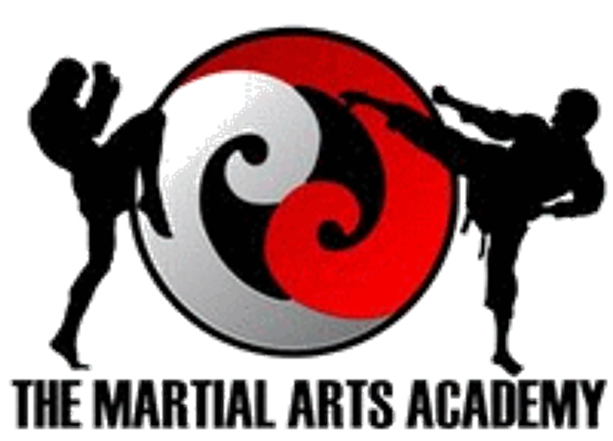 The Martial Arts Academy