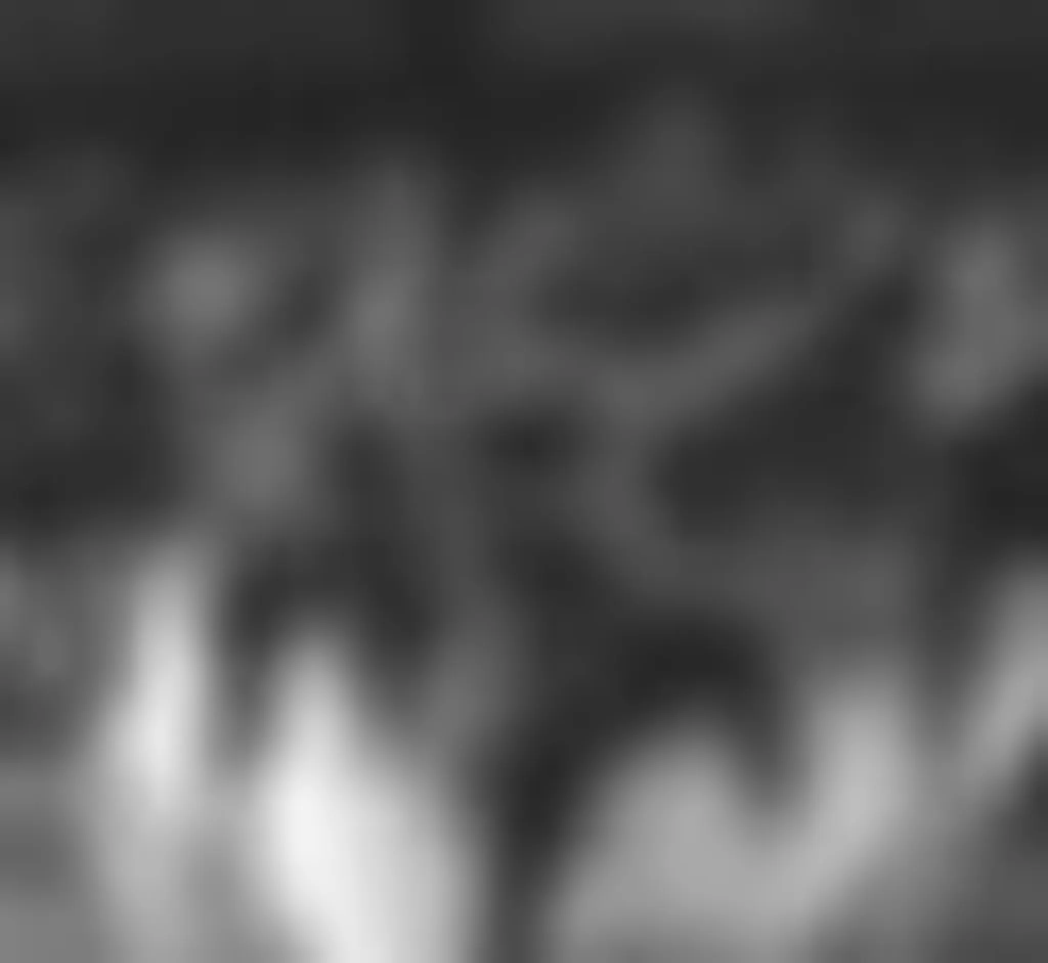 Rumba Nation Zumba in Putney