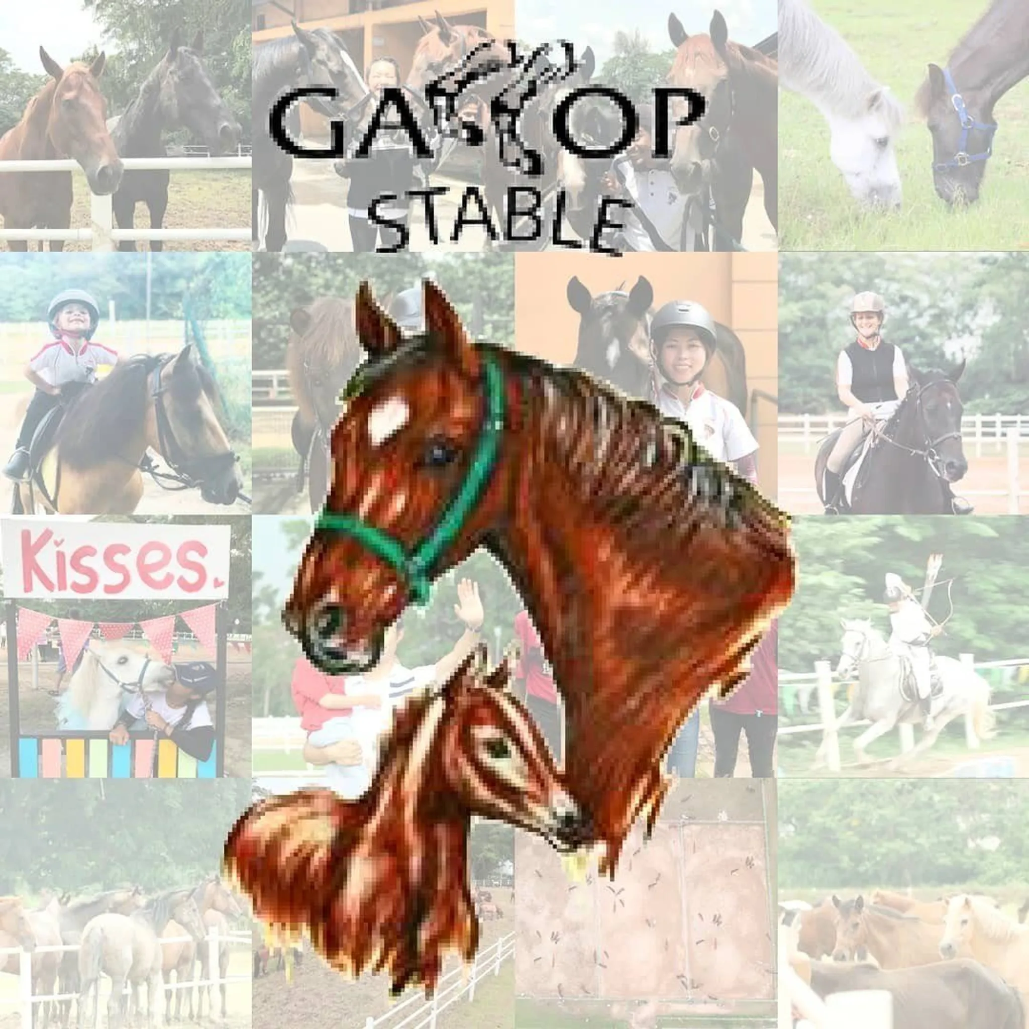 Gallop Stable @ Pasir Ris Car Park C