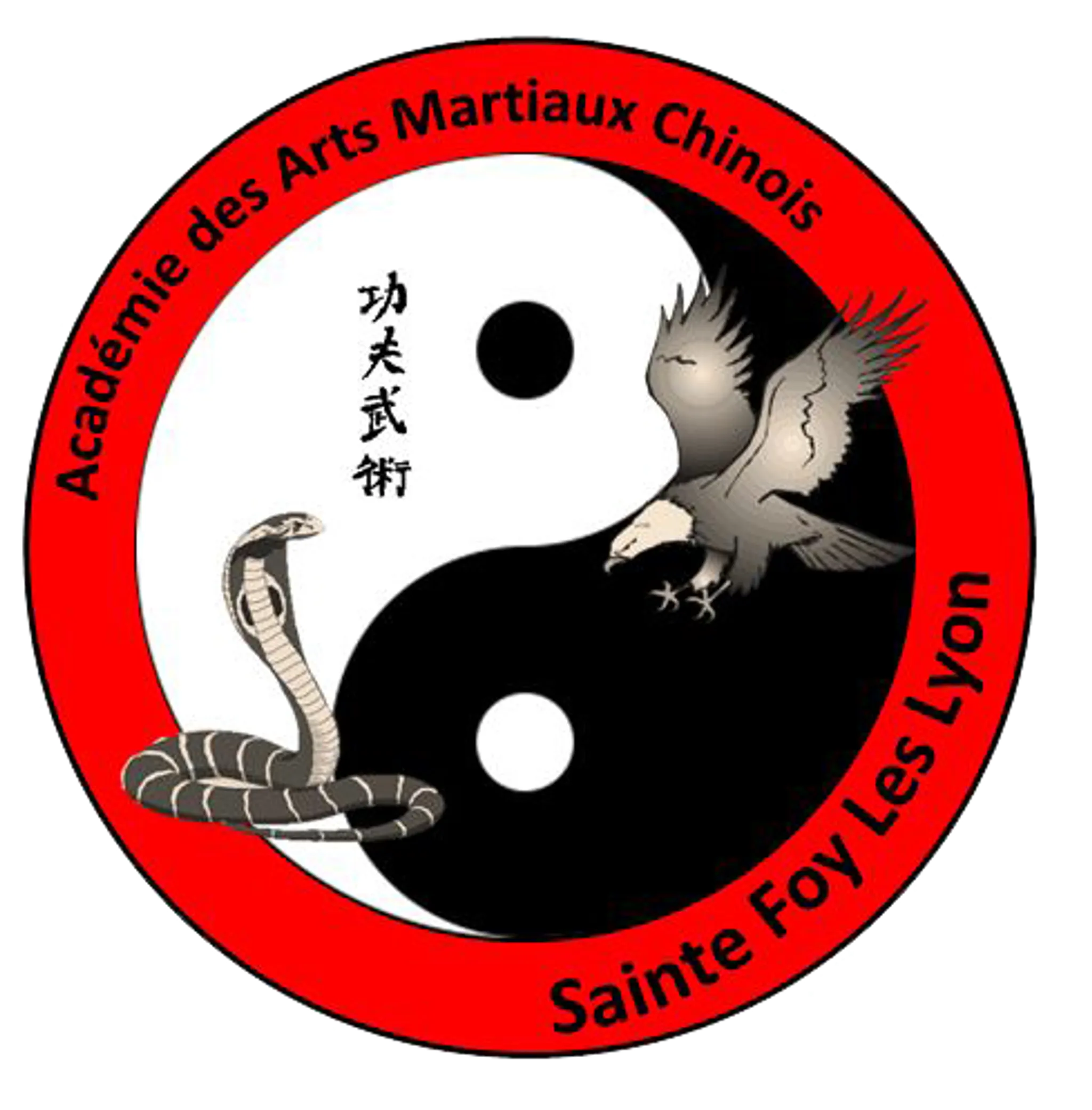 Academy Martial Arts Chinese