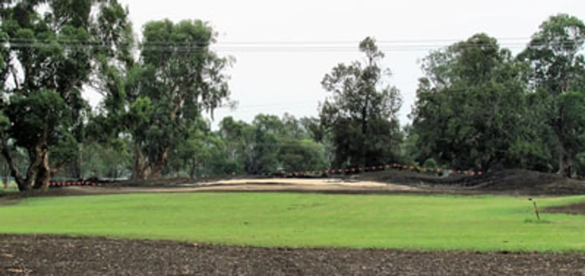 Scone Golf Club Competitions