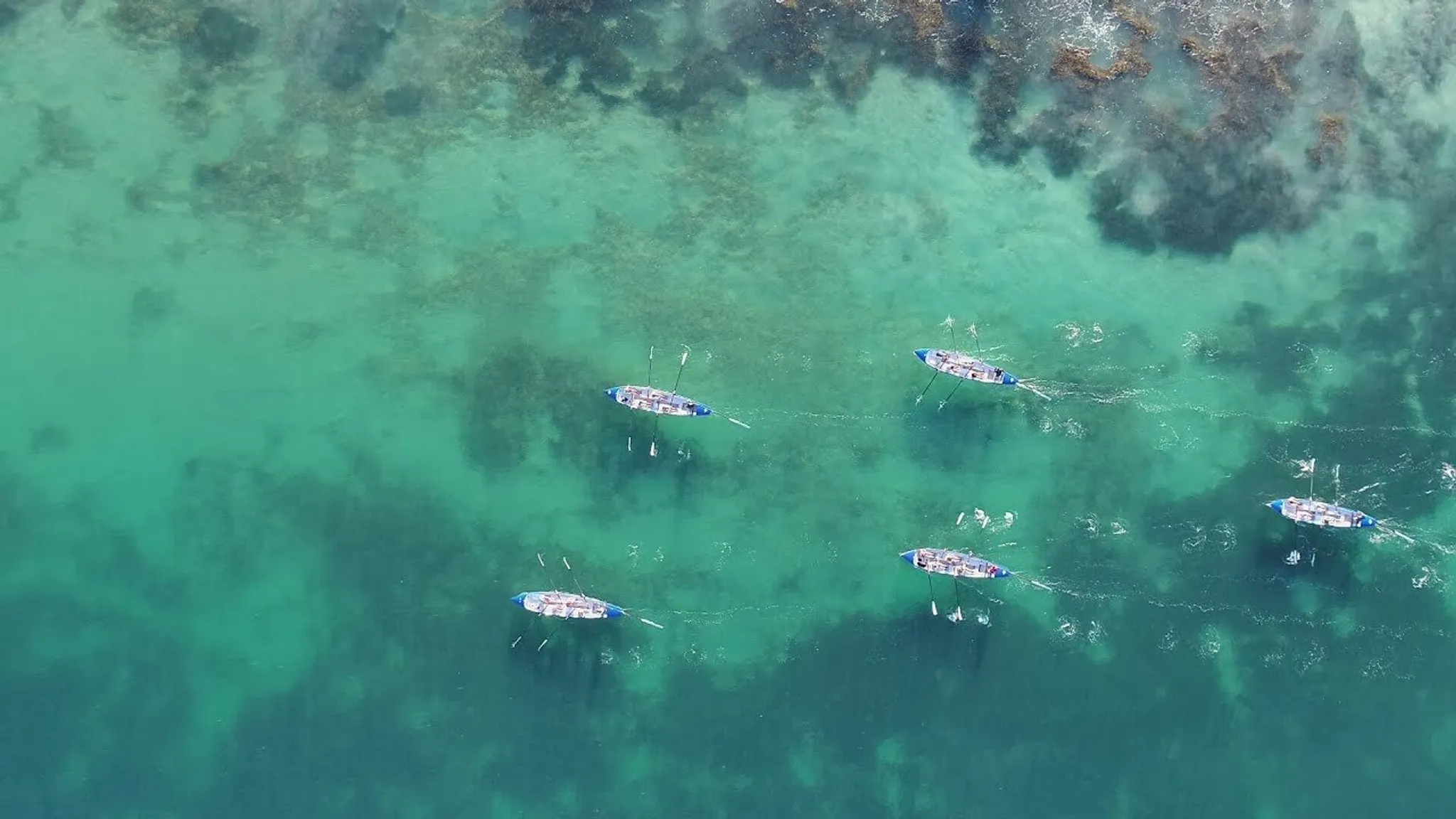 Surf Rescue Certificate (SRC) Intensive Course #1