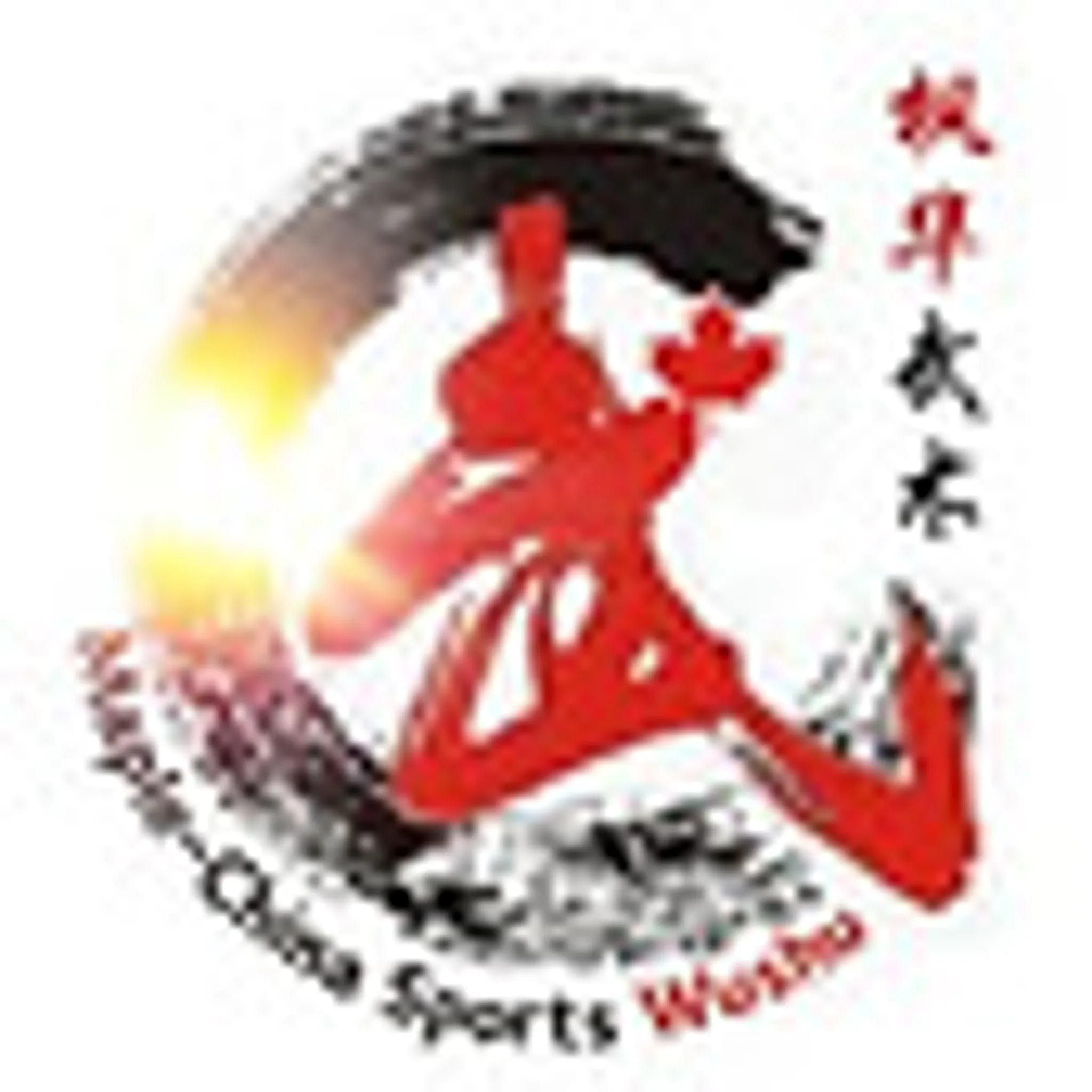 Barrhaven Martial Arts Wushu Club