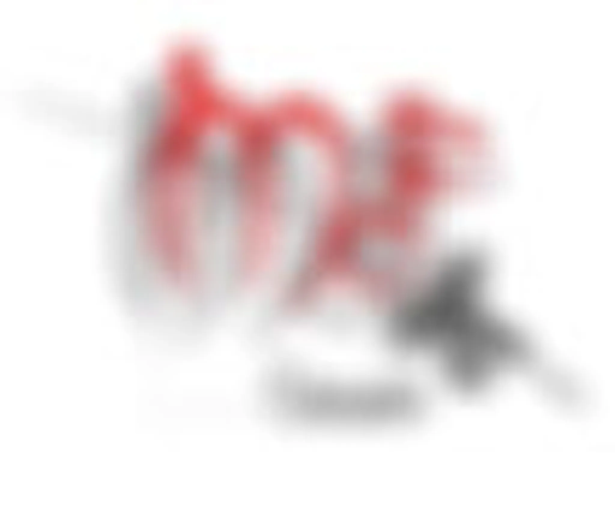 Committee Fencing Drome Ardeche