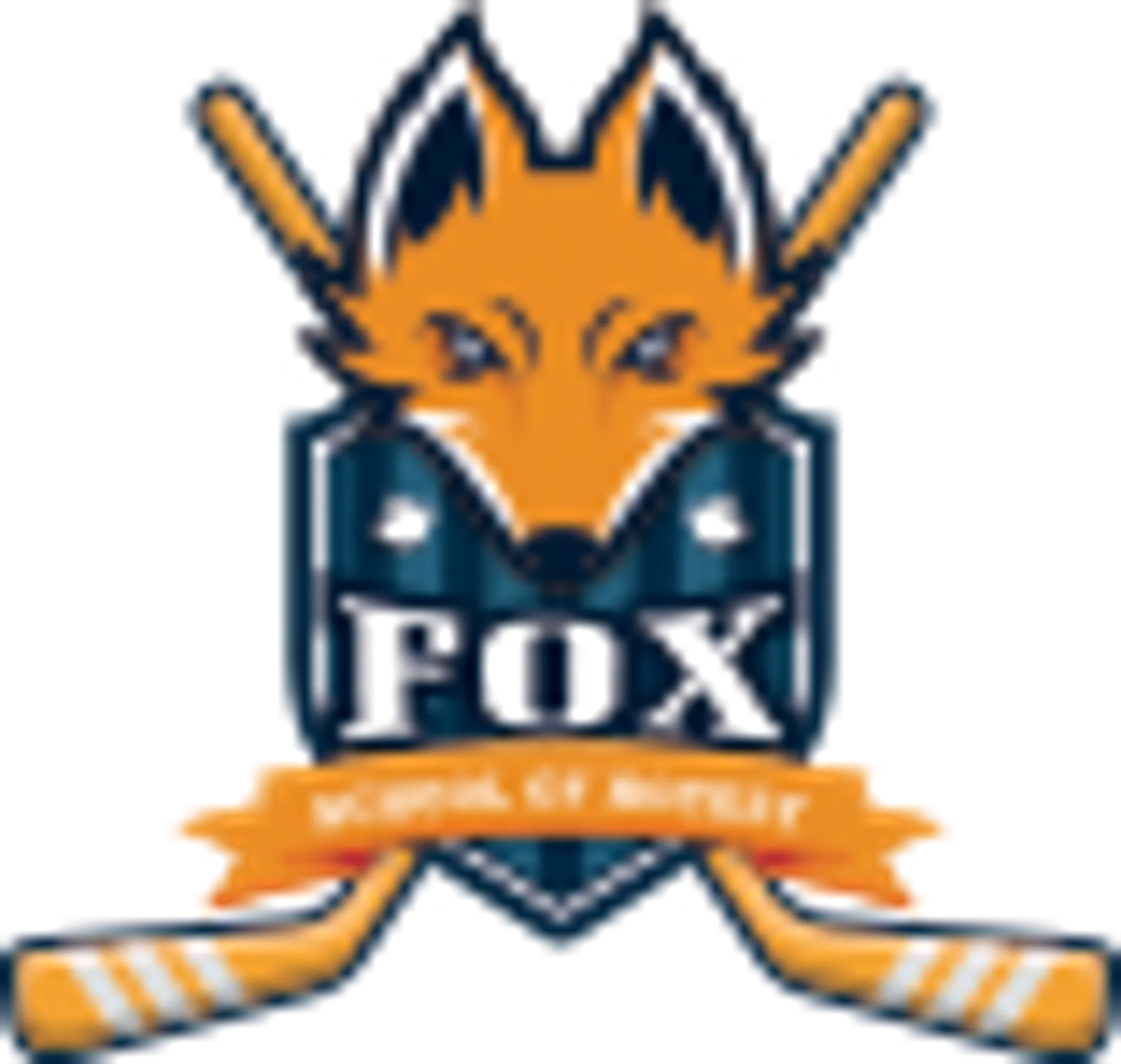 Fox School of Hockey