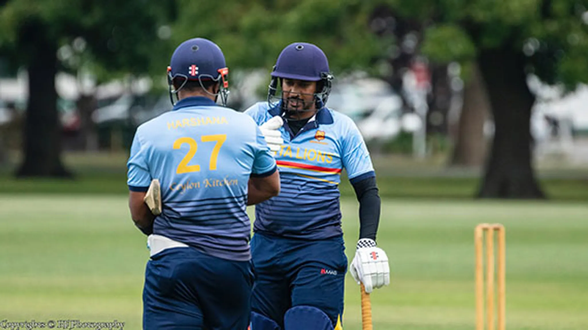 Halswell Senior Cricket