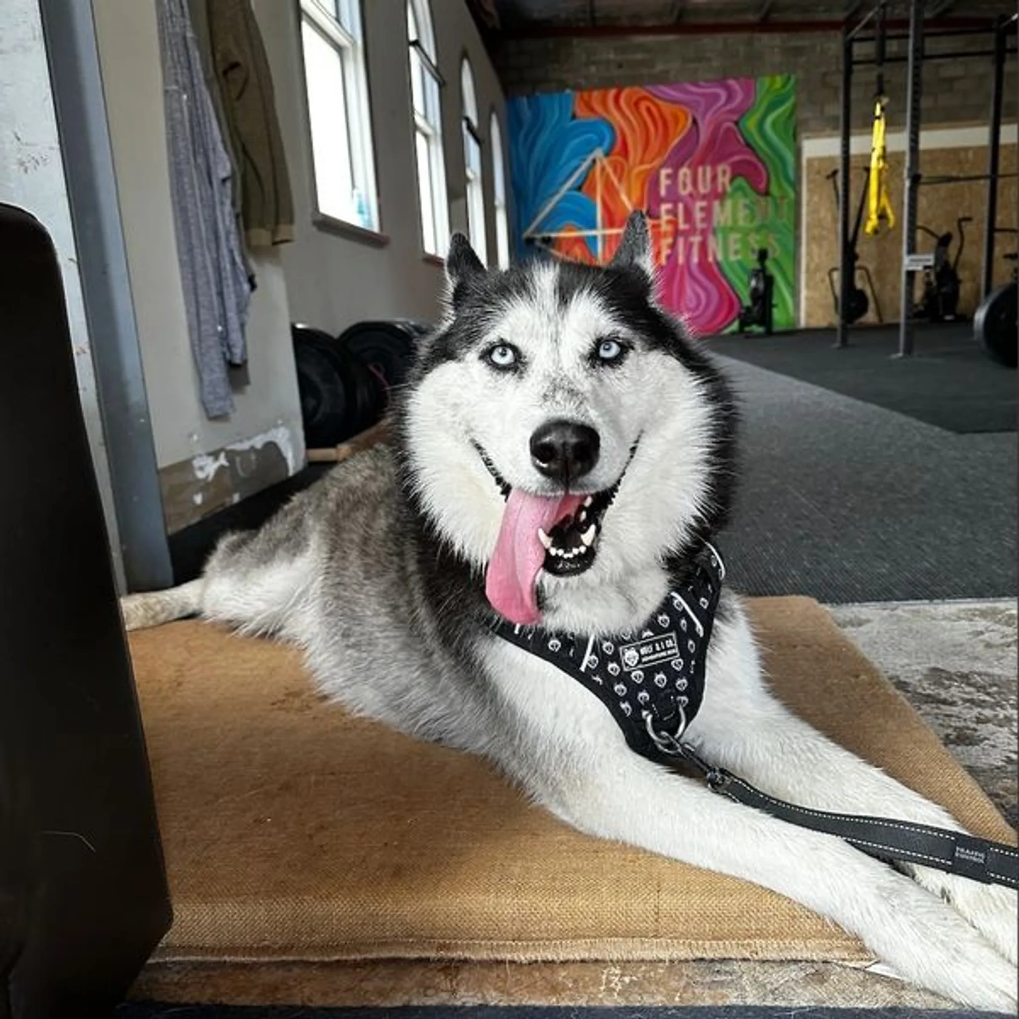 Four Element Fitness